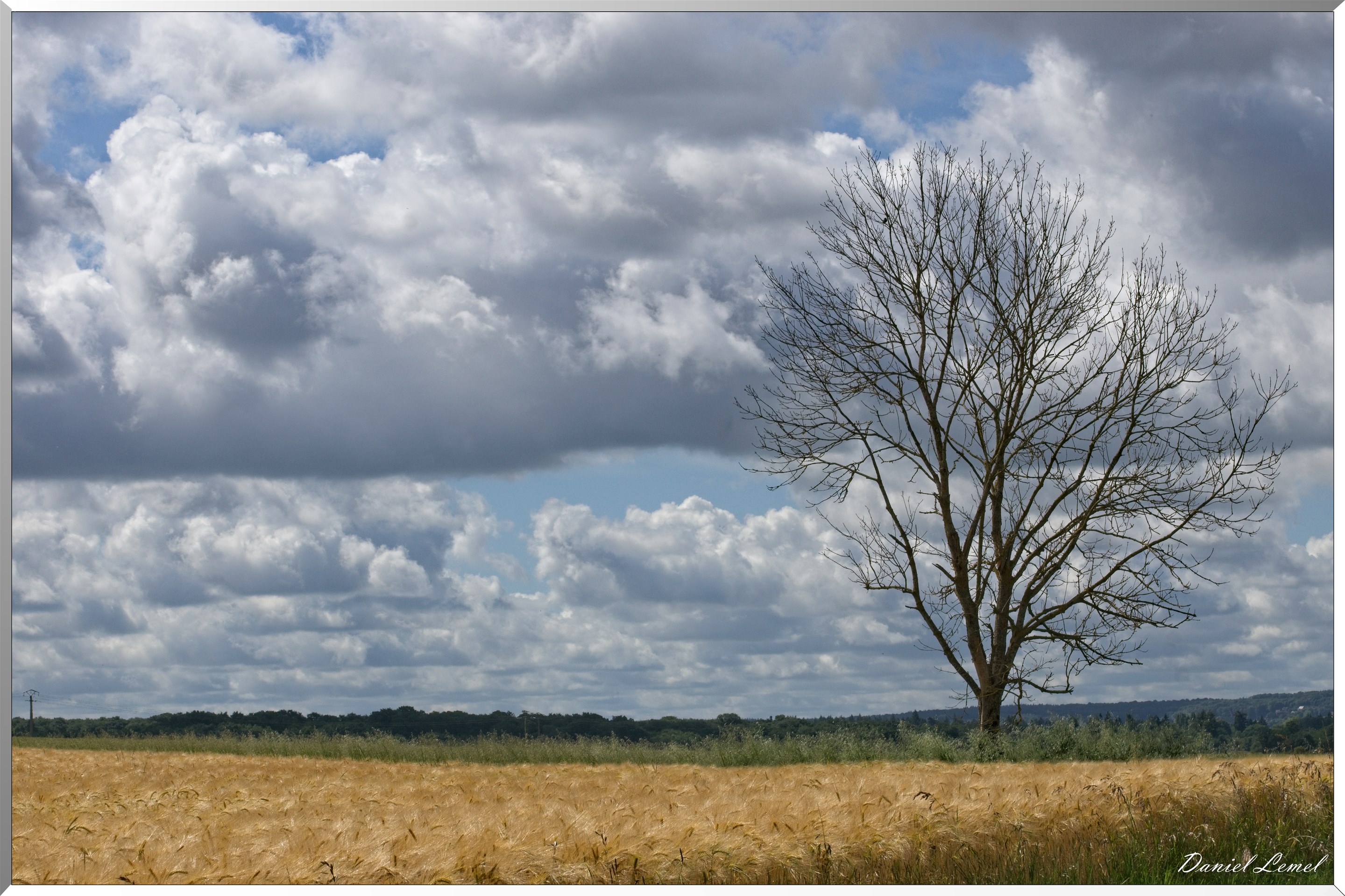Notre-Dame-de-l'Isle