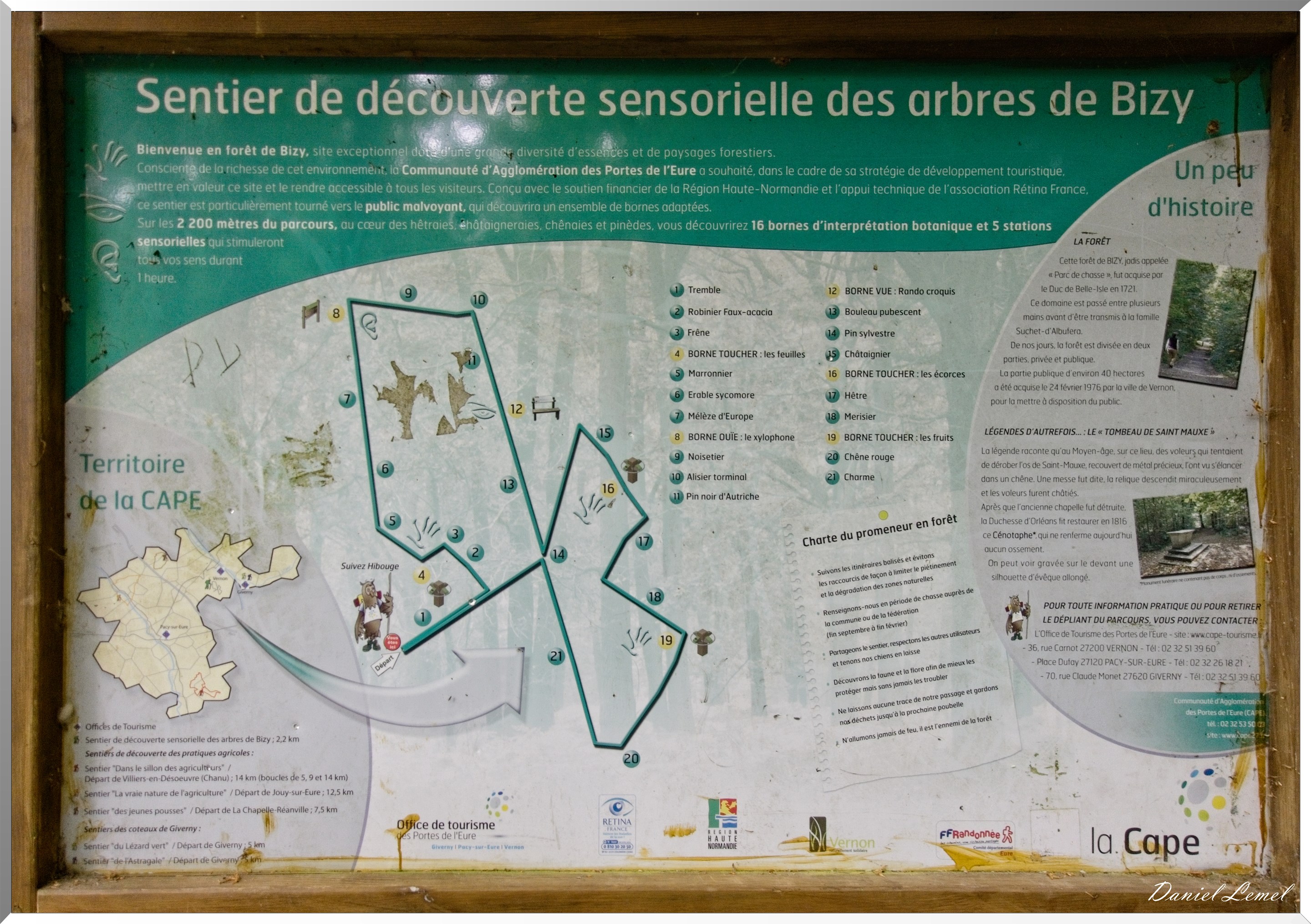 Forêt de Bizy - Vernon