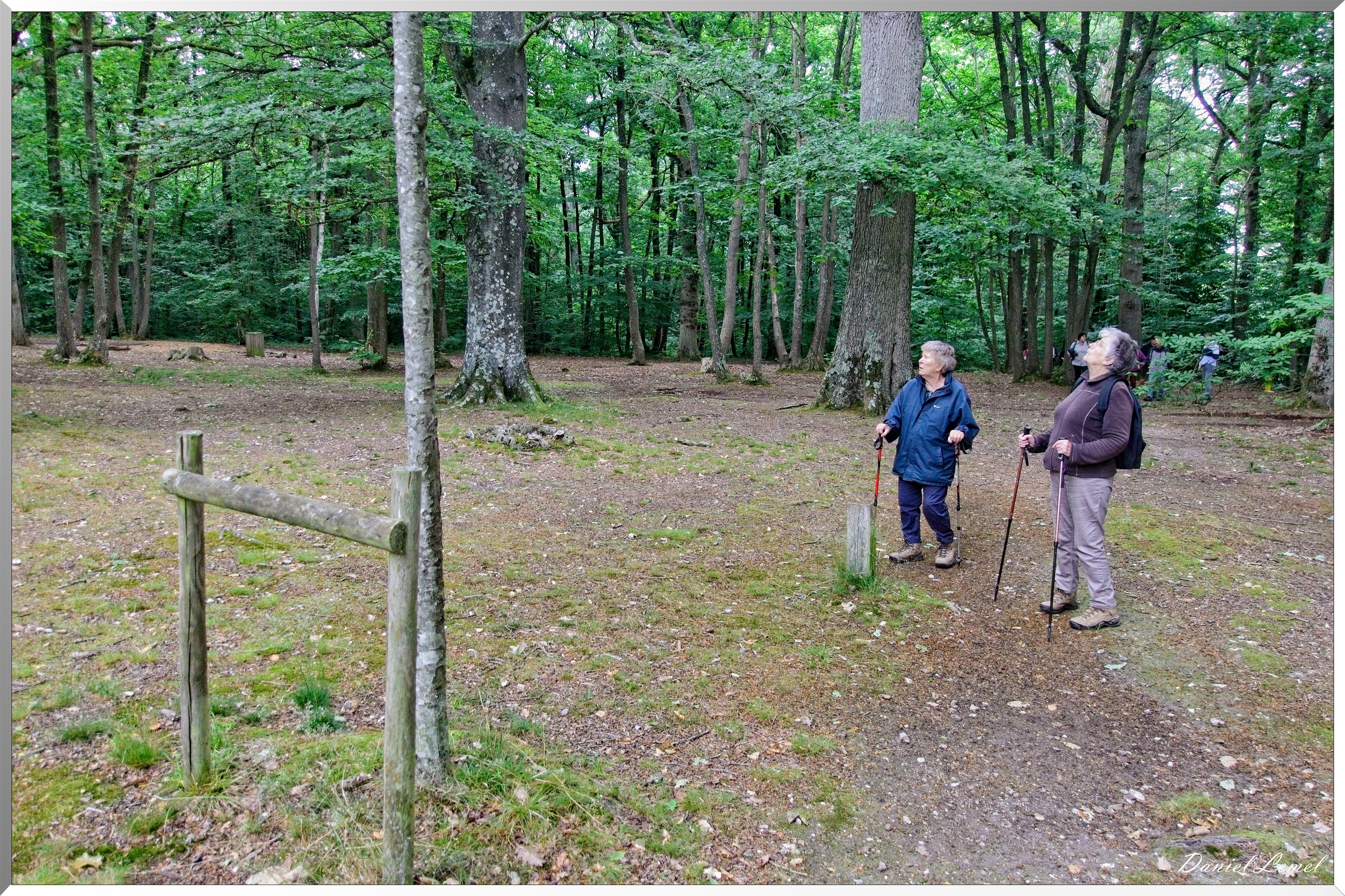 Forêt de Bizy - Vernon