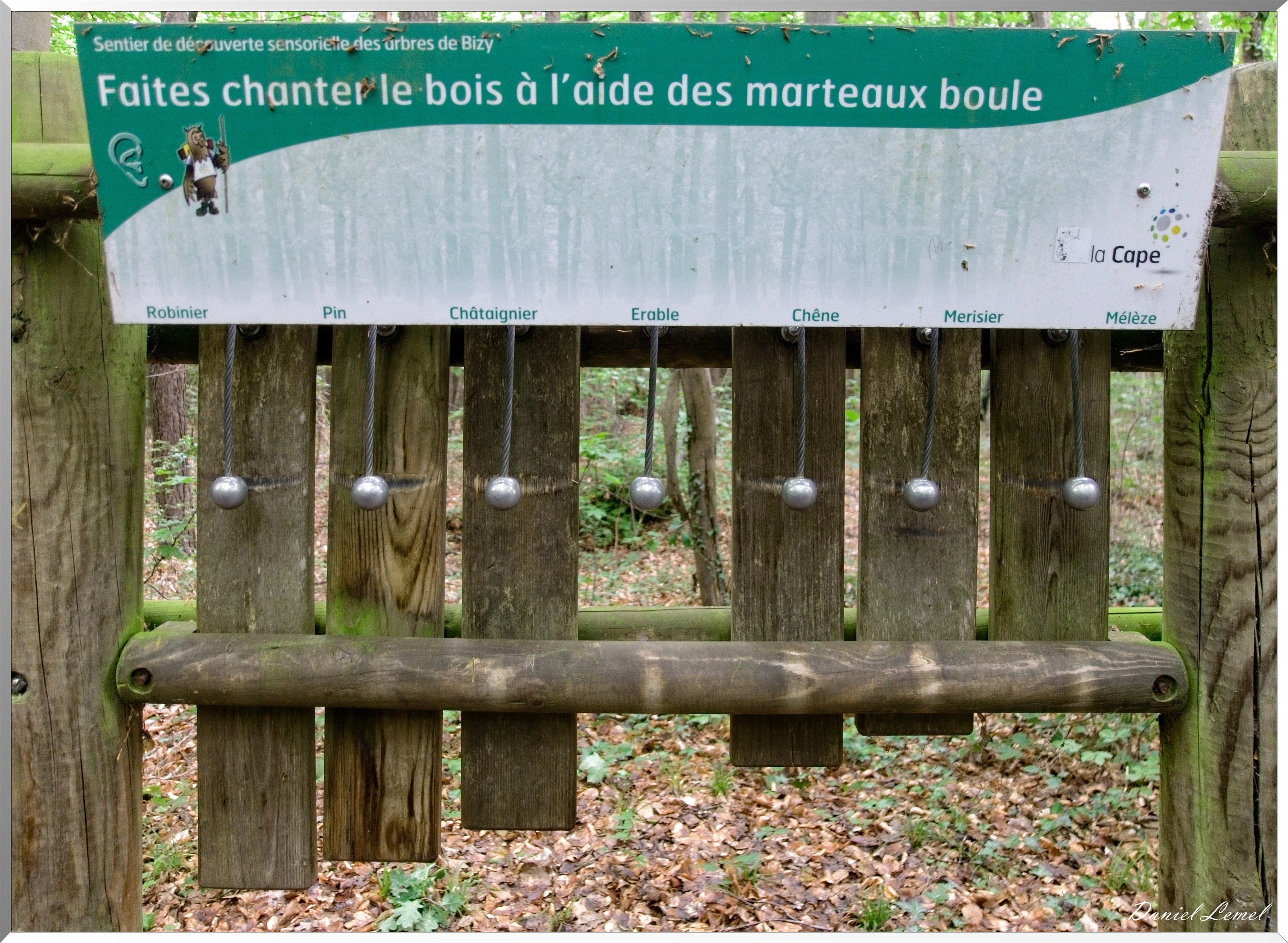 Forêt de Bizy - Vernon