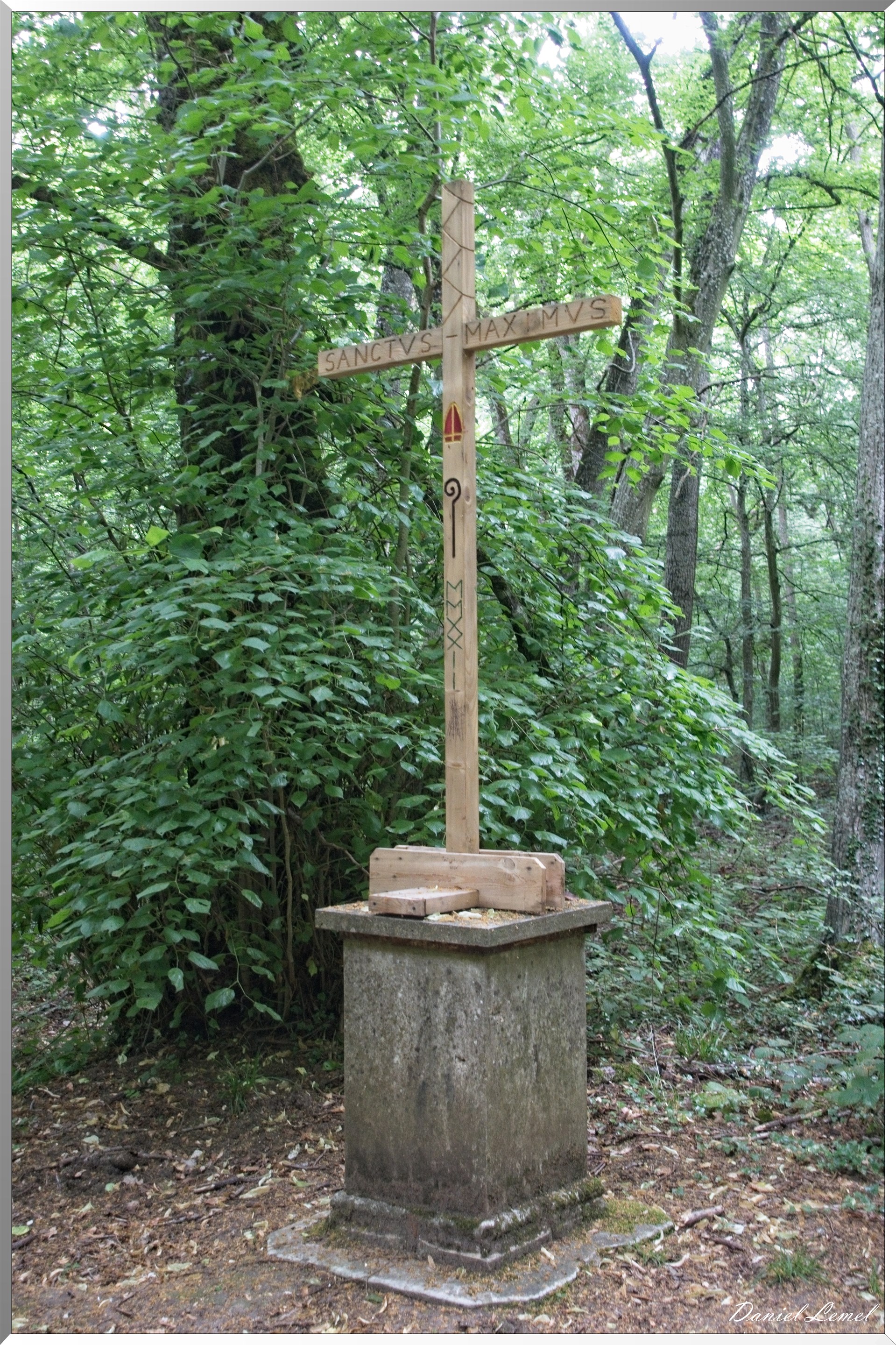 Forêt de Bizy - Vernon