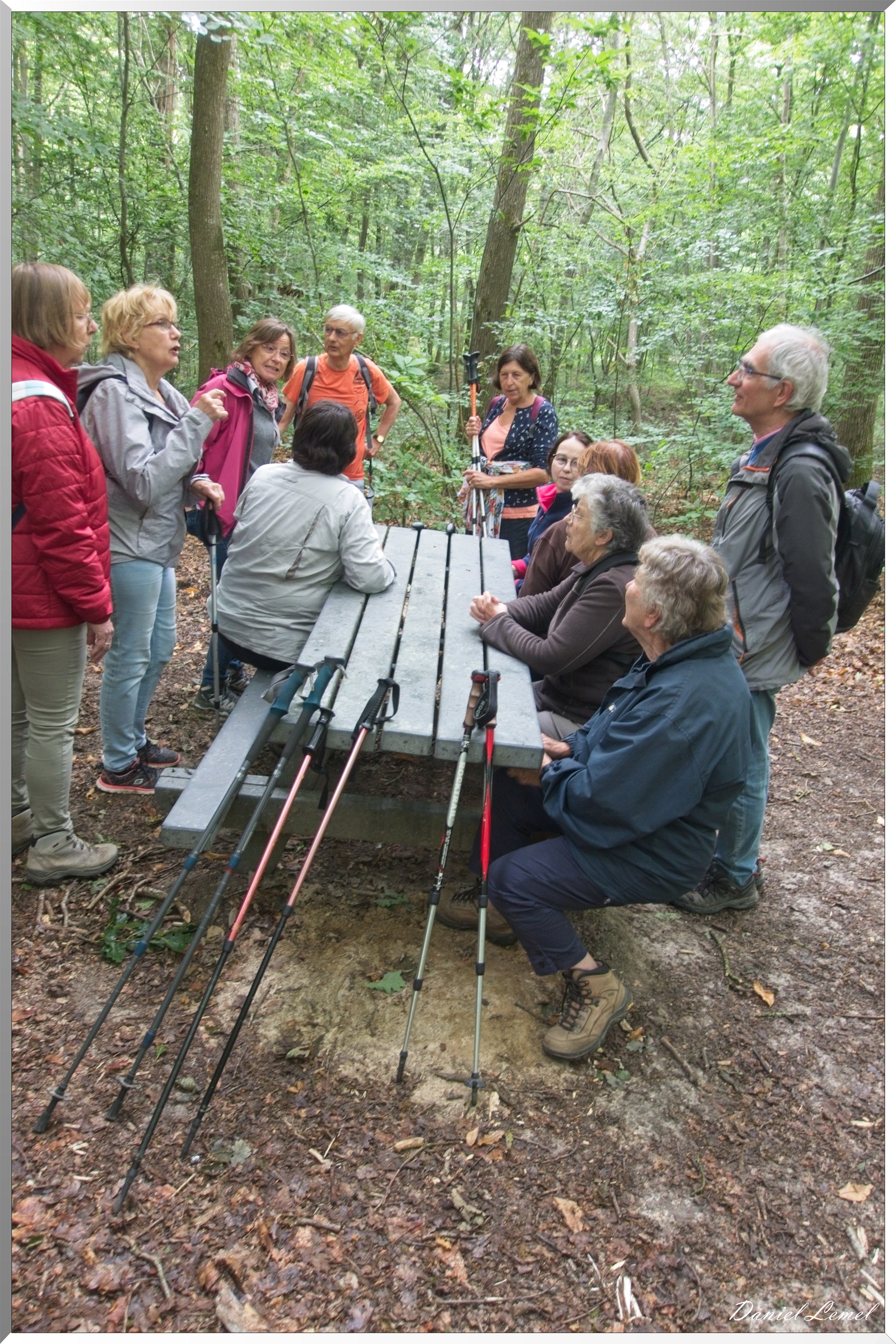 Forêt de Bizy - Vernon