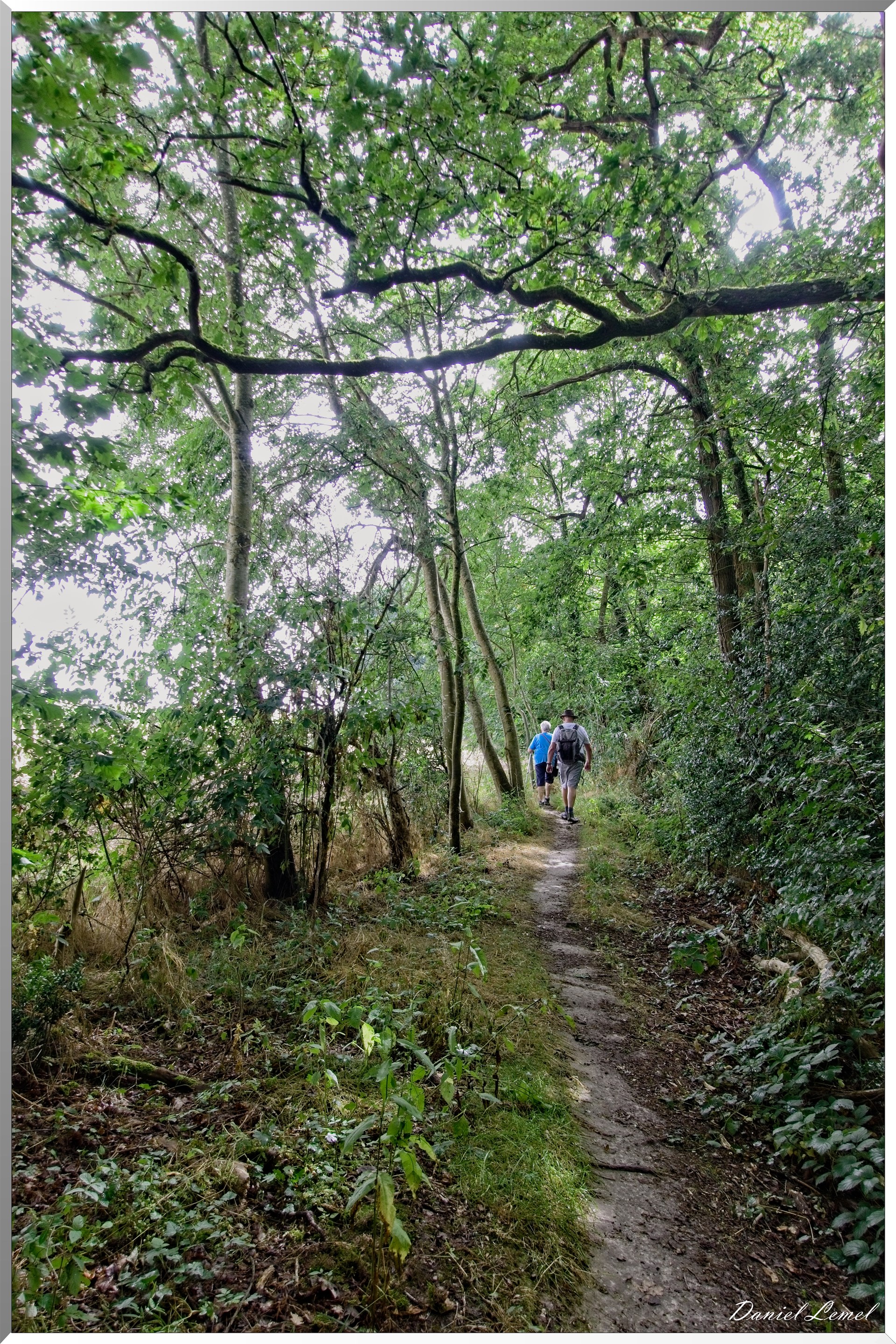 Ste Geneviève lès Gasny