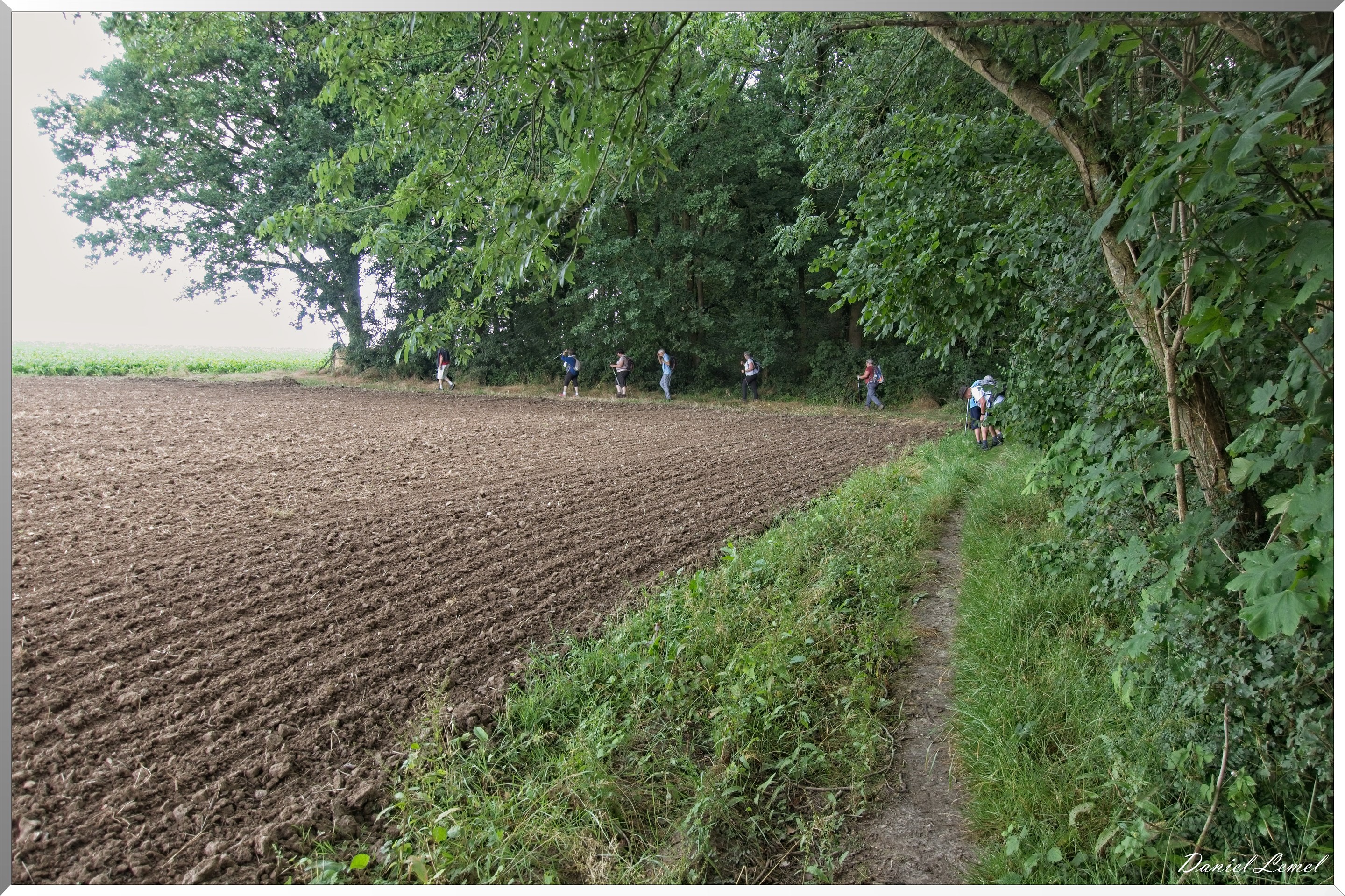 Ste Geneviève lès Gasny