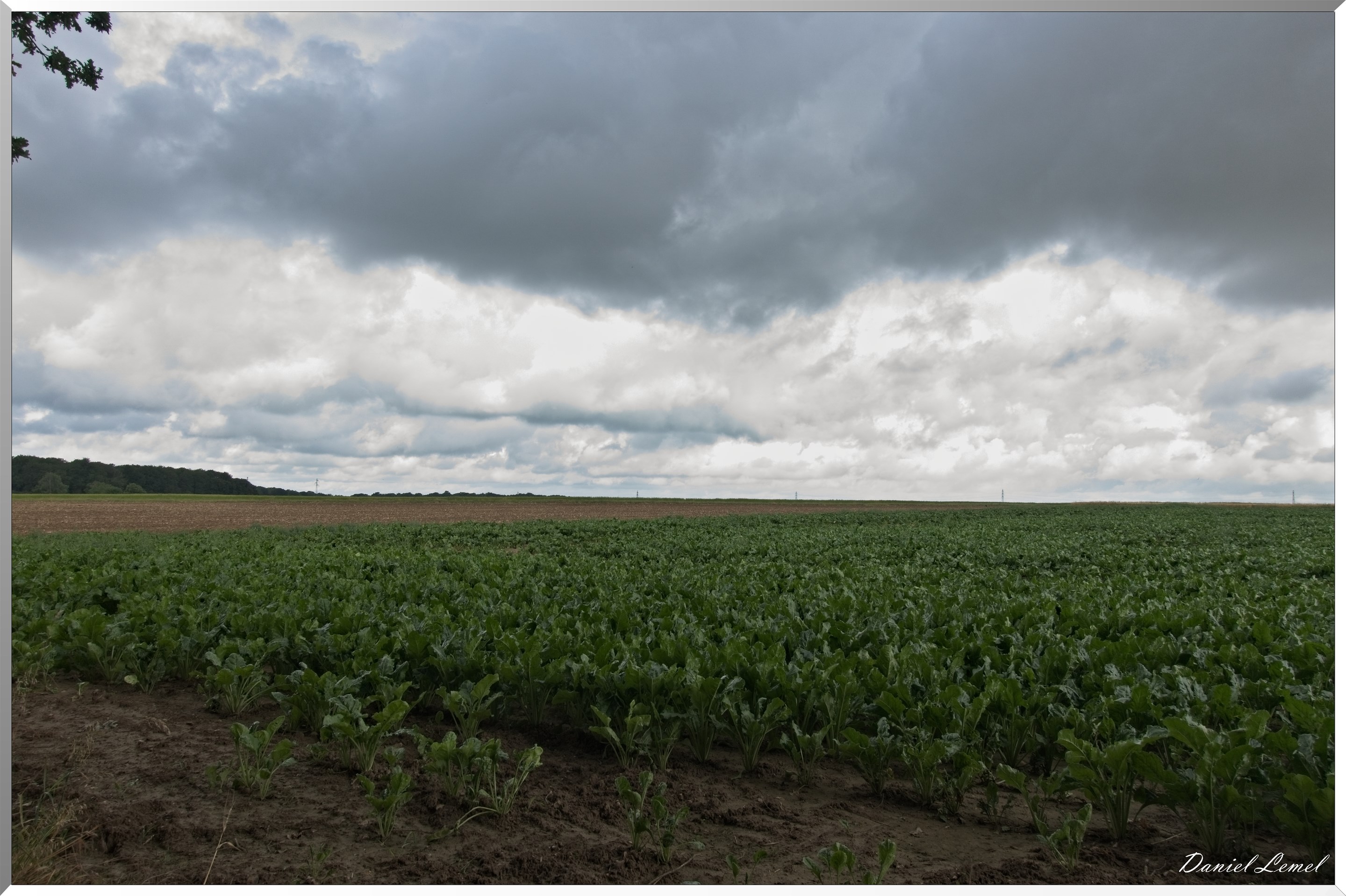 Ste Geneviève lès Gasny