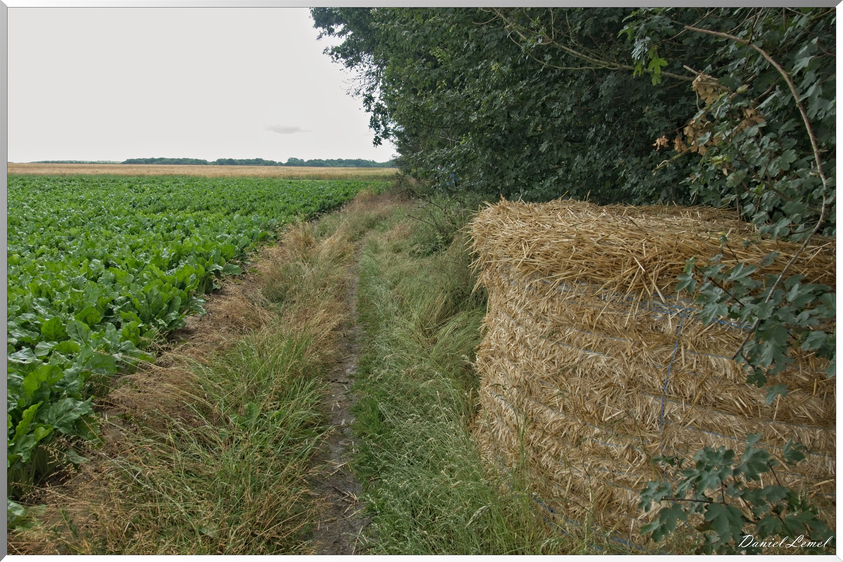 Ste Geneviève lès Gasny