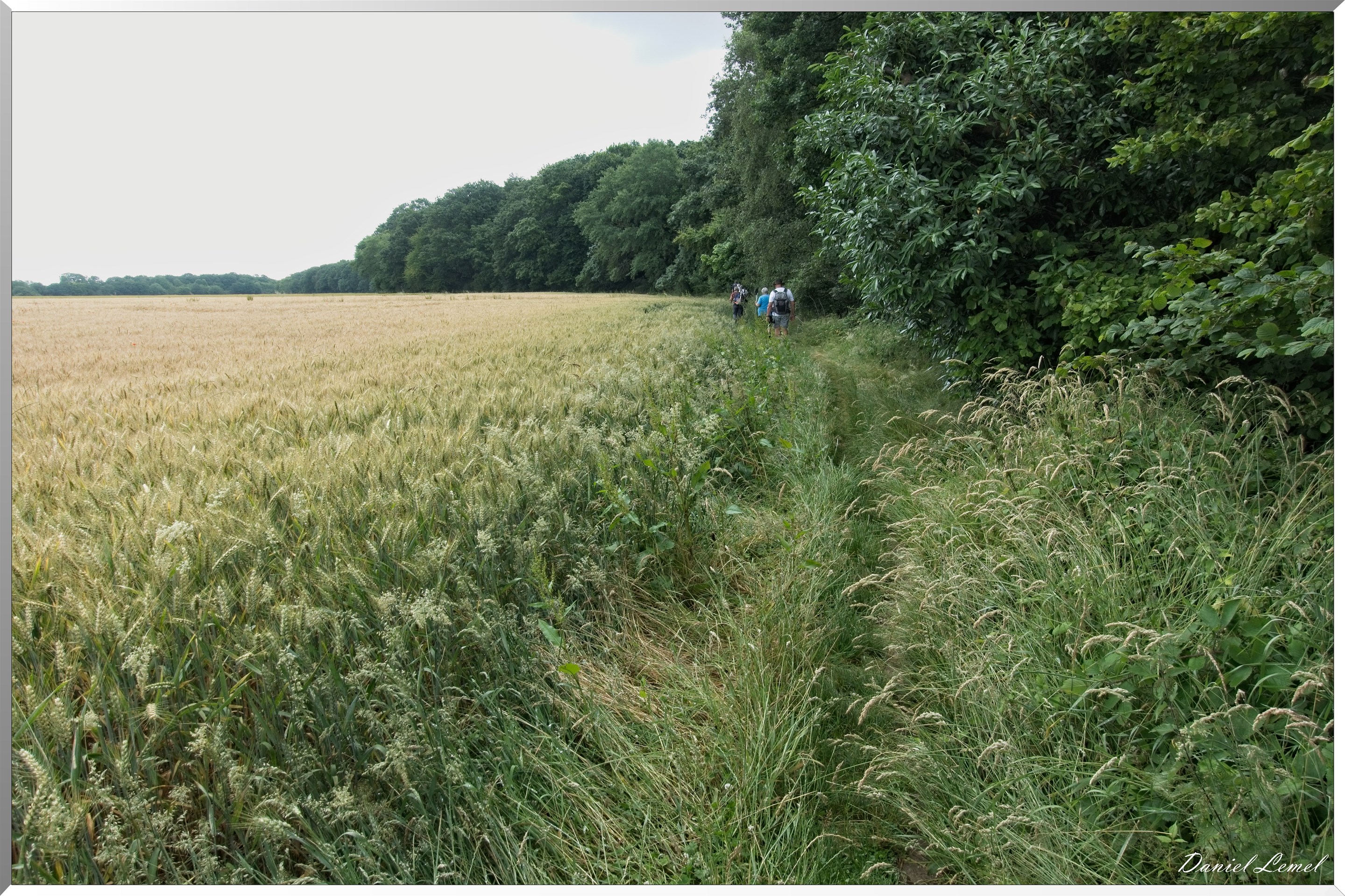 Ste Geneviève lès Gasny