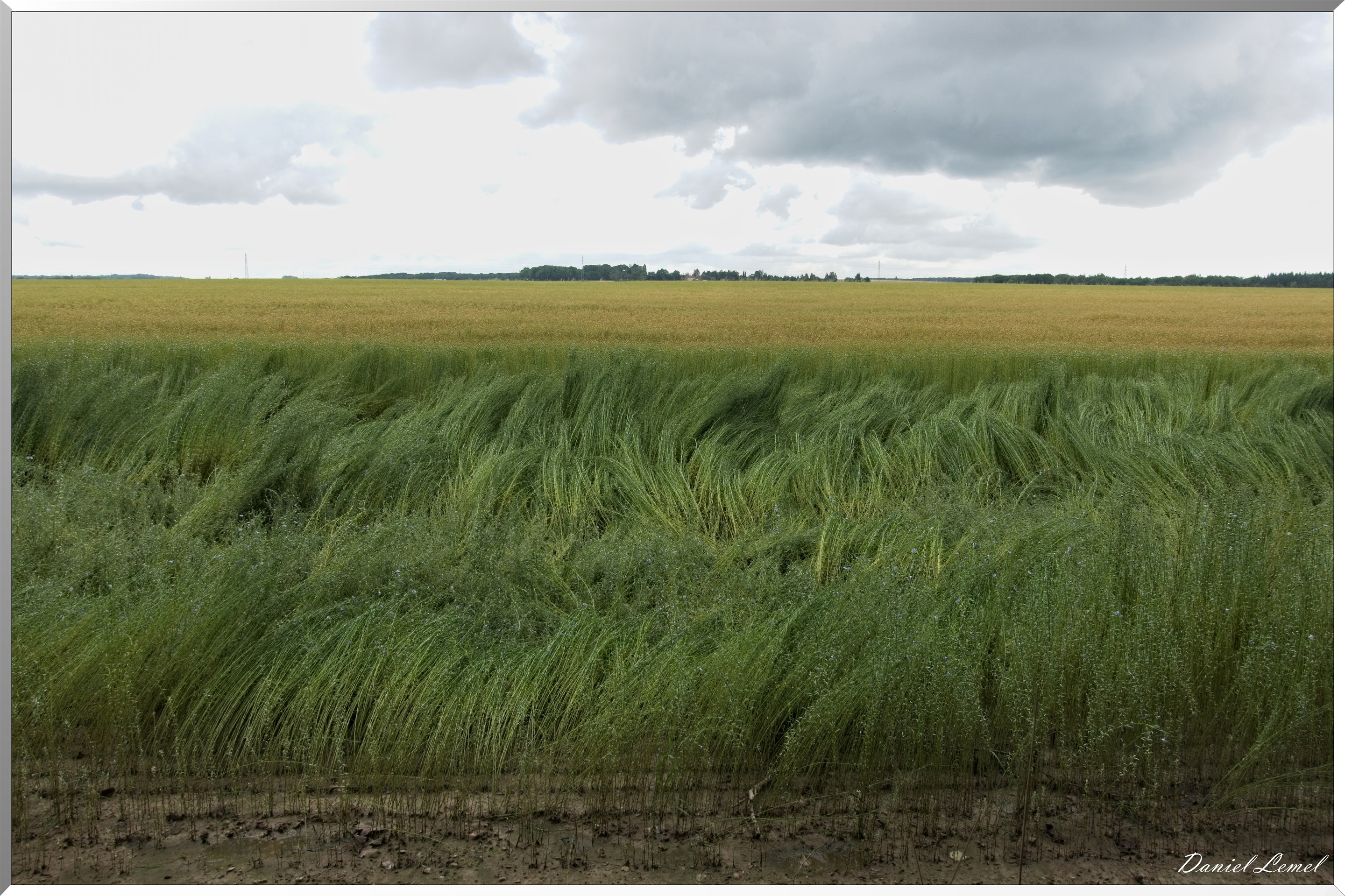Ste Geneviève lès Gasny