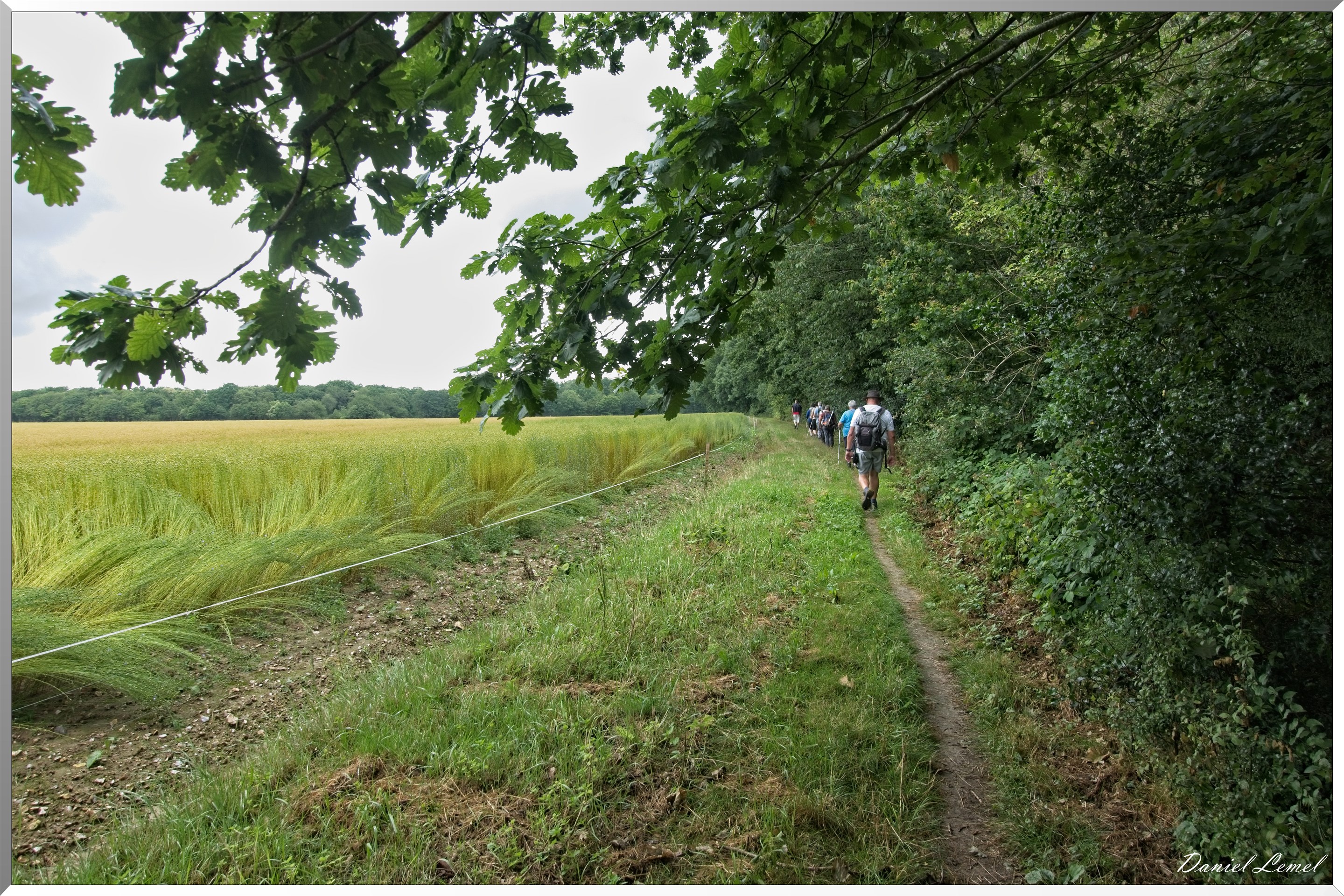 Ste Geneviève lès Gasny