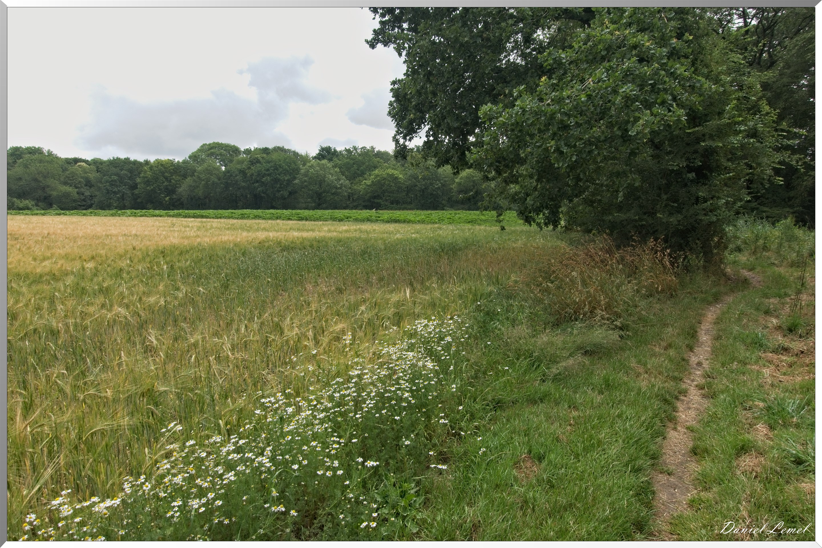Ste Geneviève lès Gasny