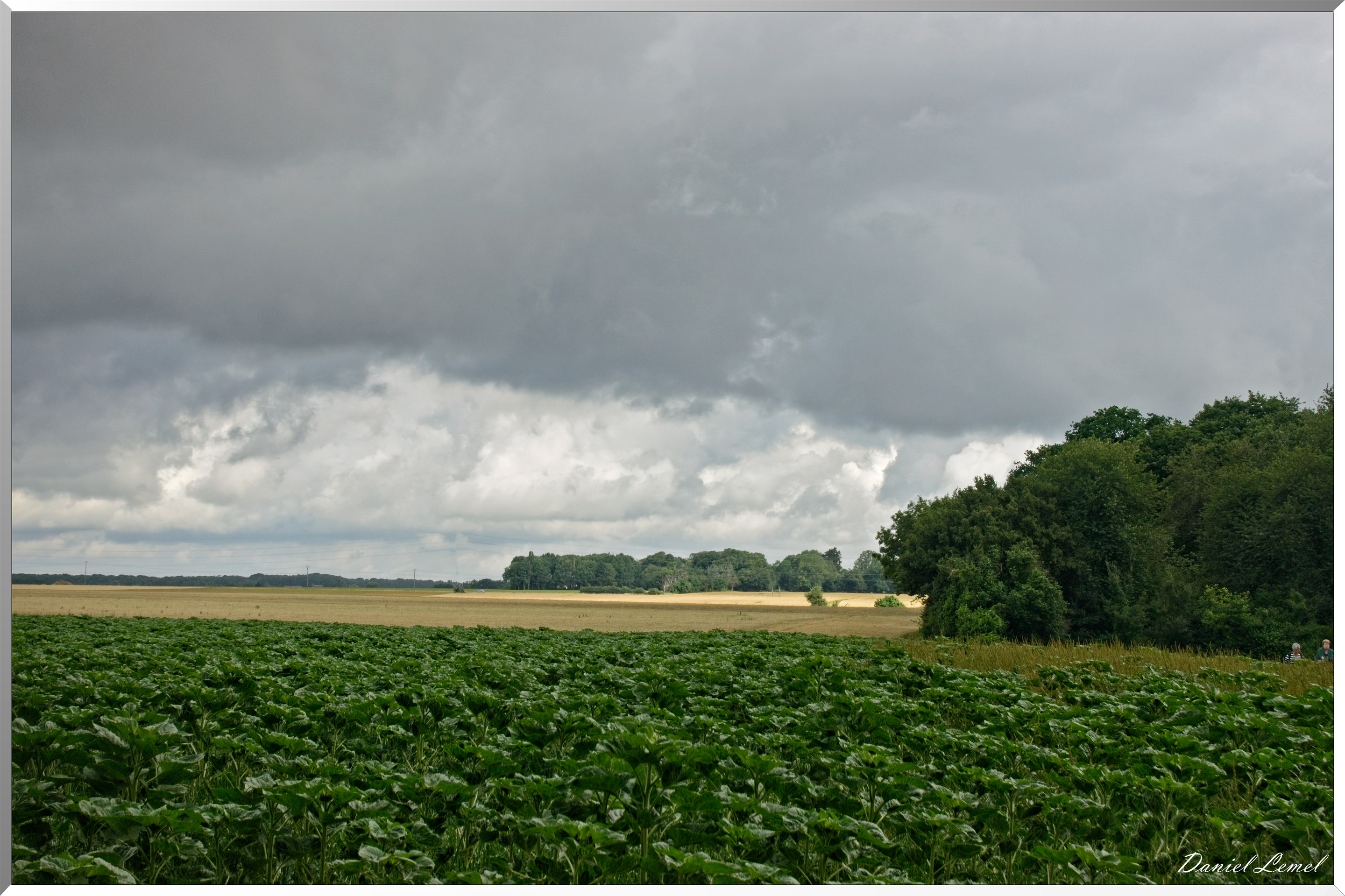 Ste Geneviève lès Gasny