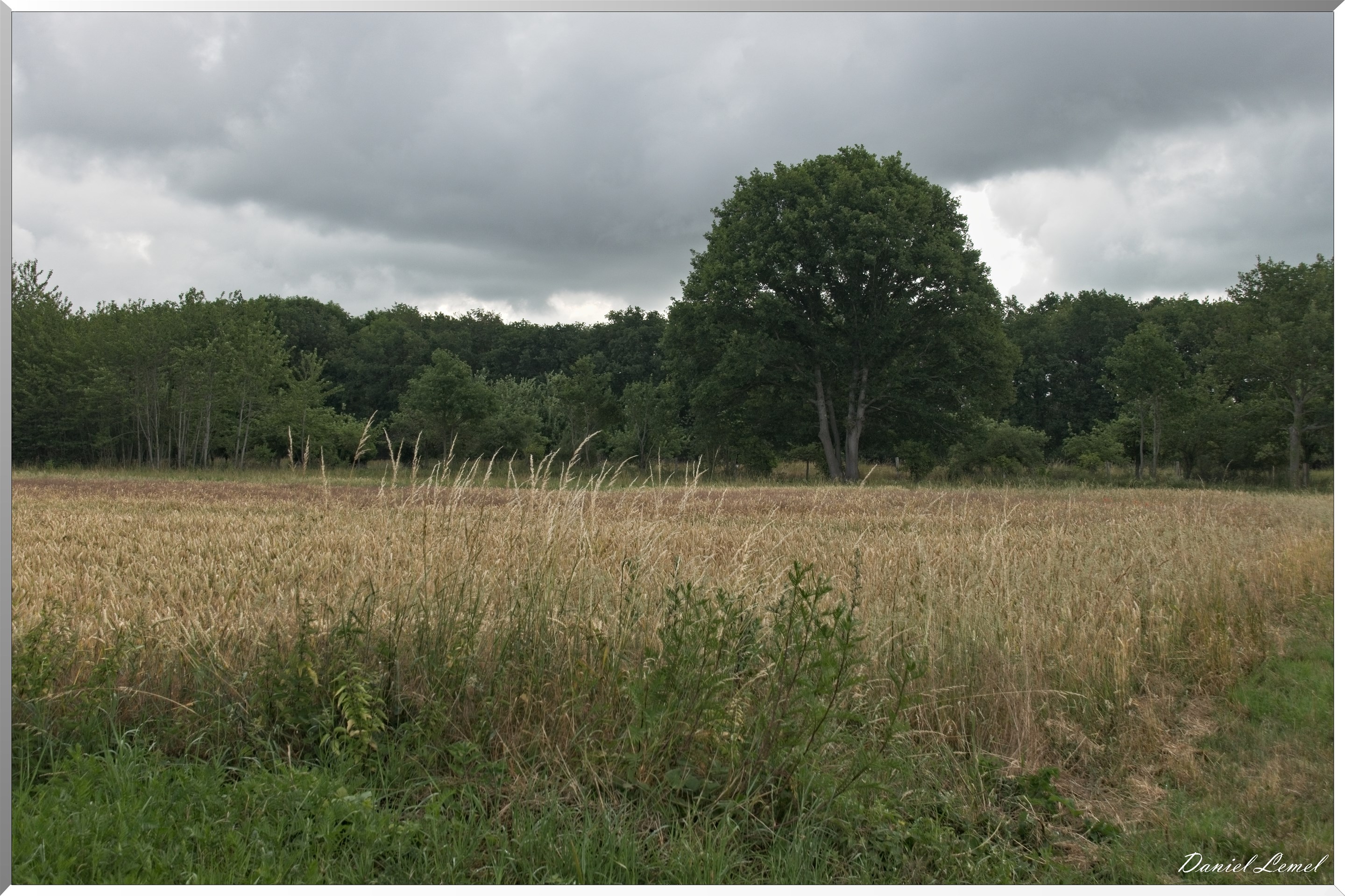 Ste Geneviève lès Gasny
