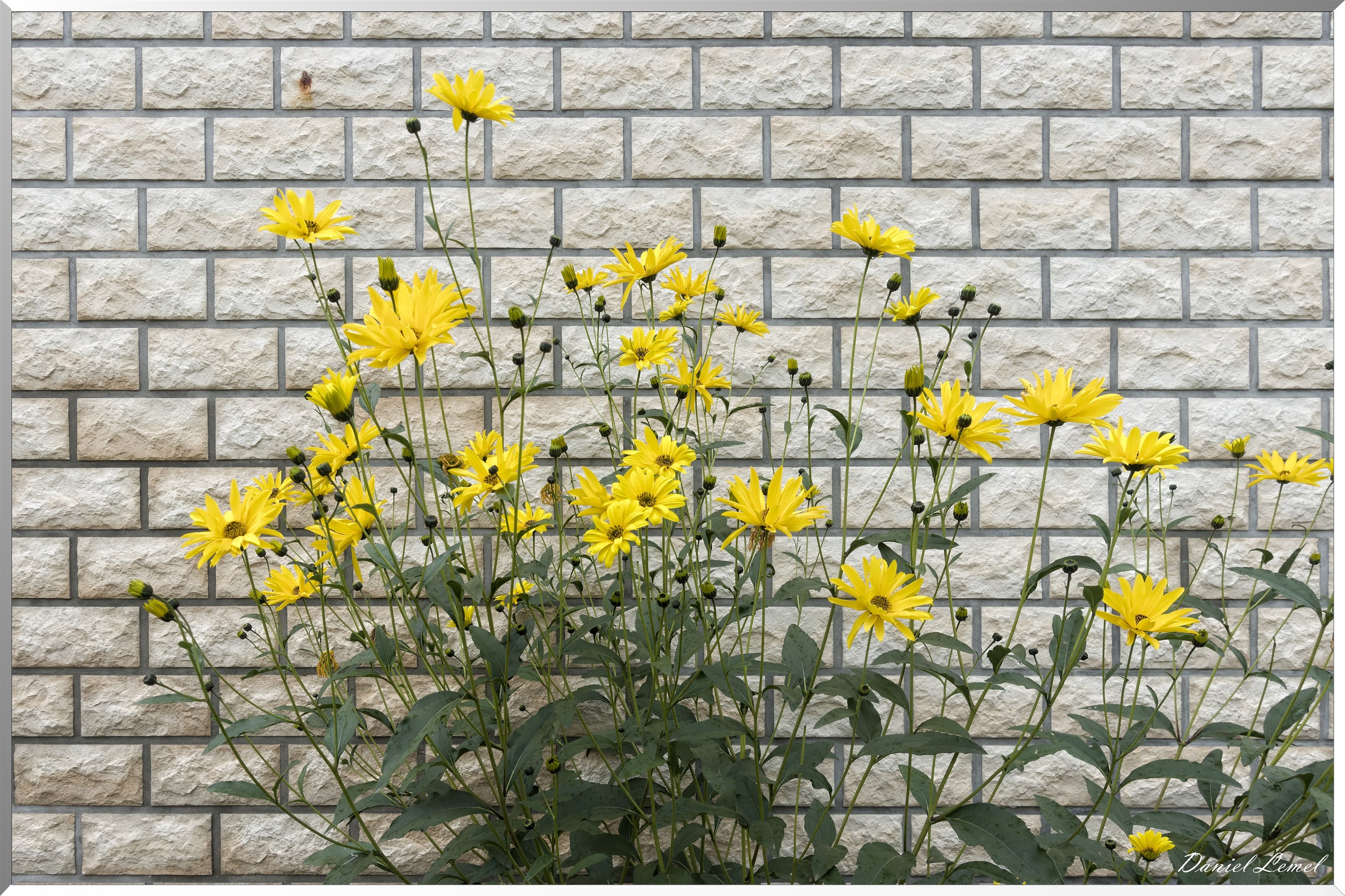 La Croix-Saint-Leufroy