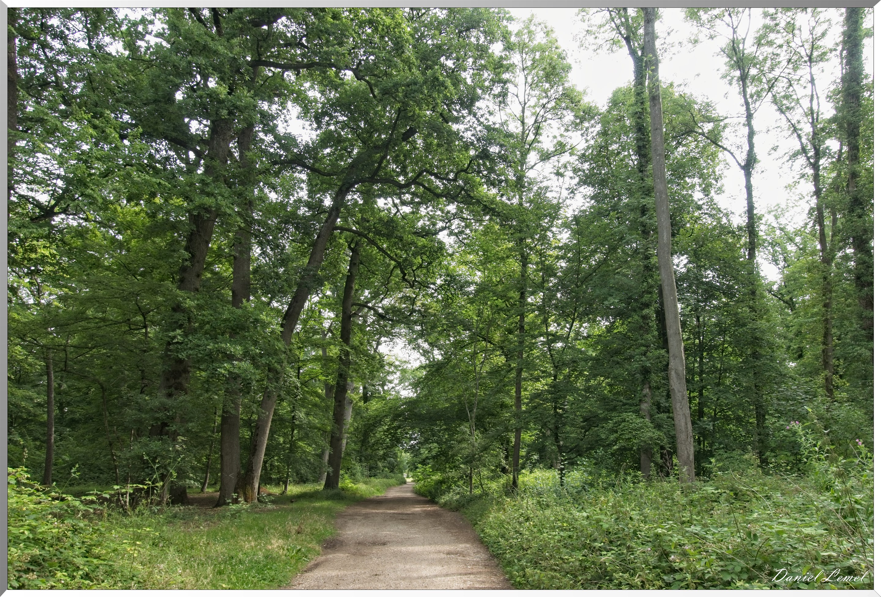 Domaine royal de Marly-Le-Roi