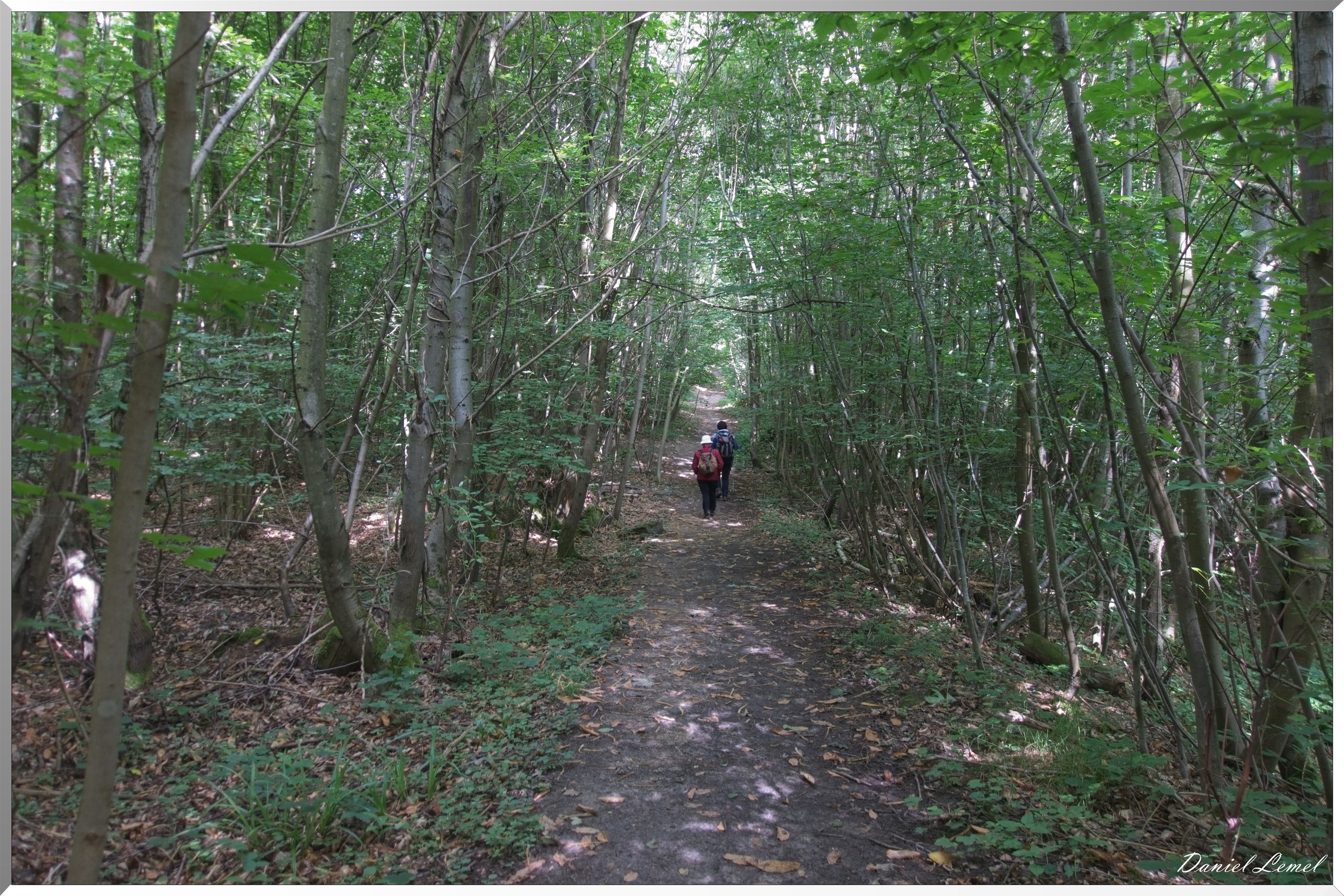 Domaine royal de Marly-Le-Roi