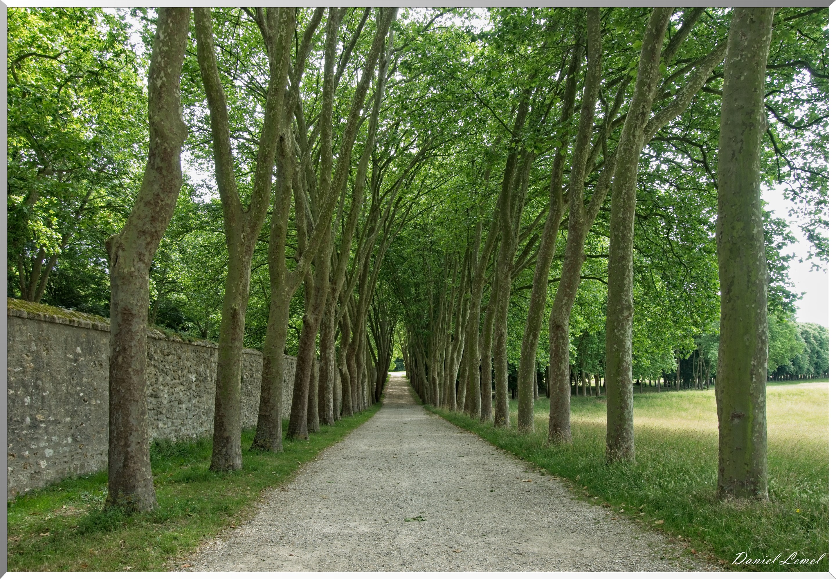 Domaine royal de Marly-Le-Roi