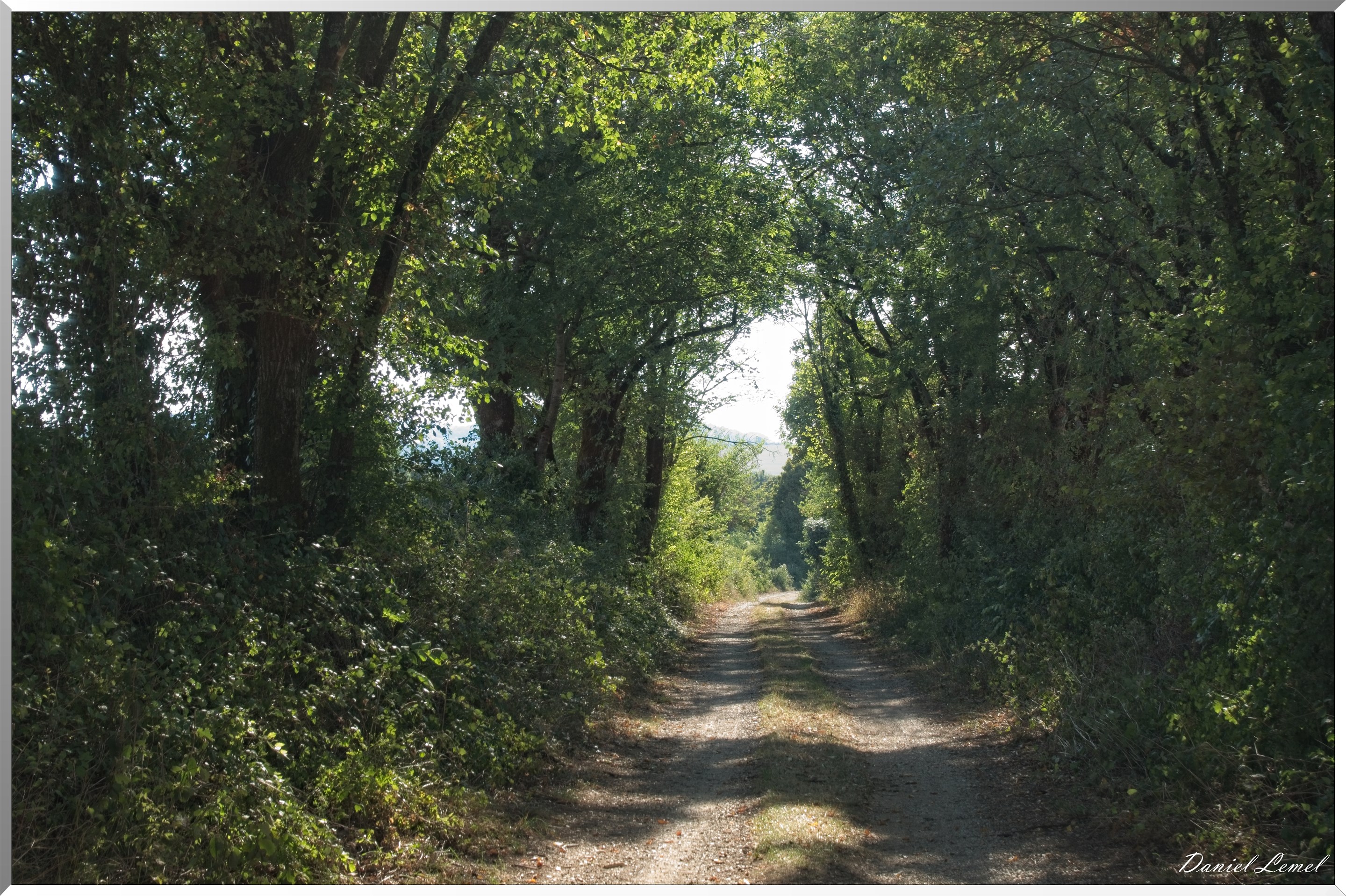 Cornuéjouls - Buzeins