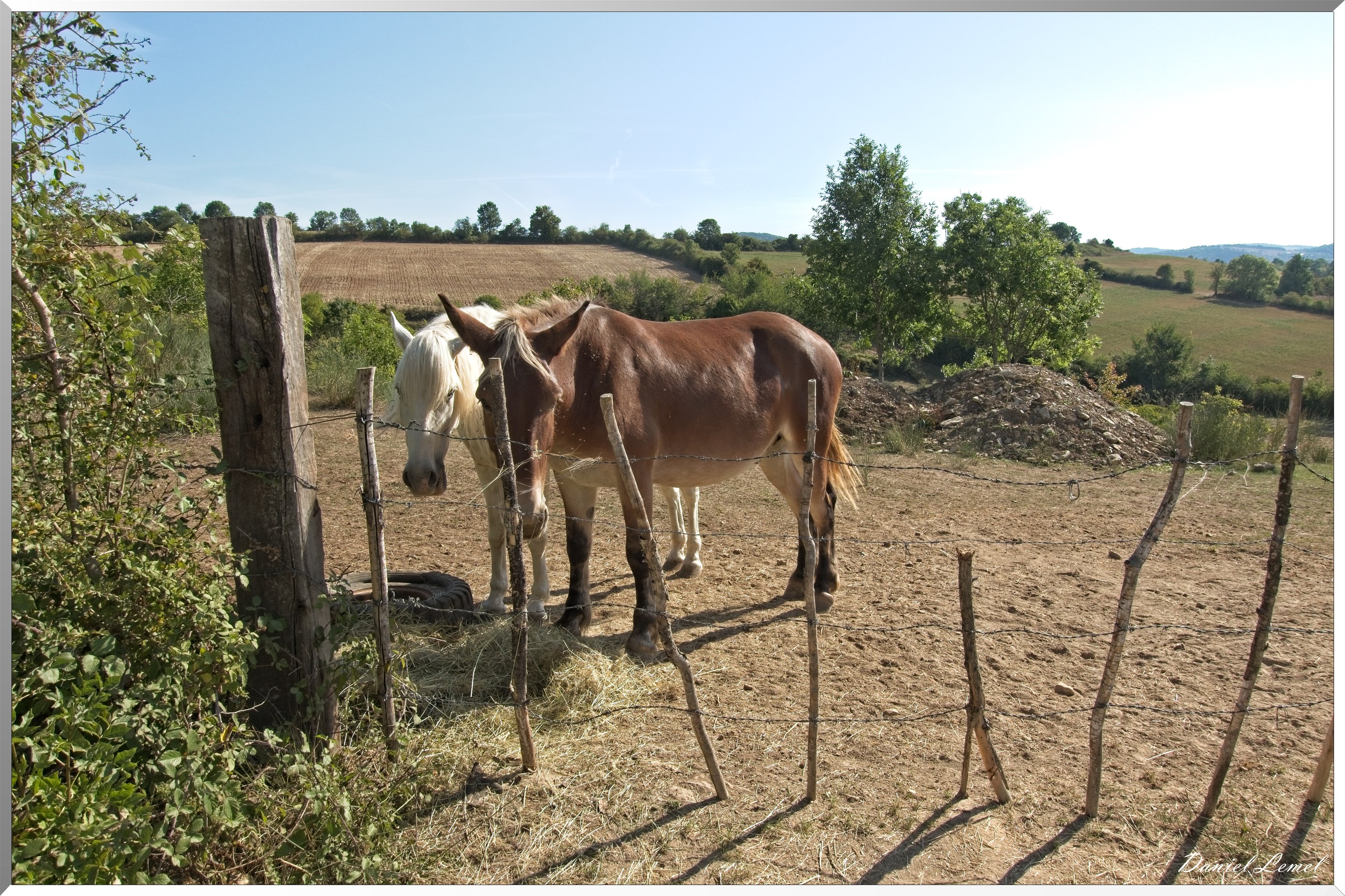 Cornuéjouls - Buzeins