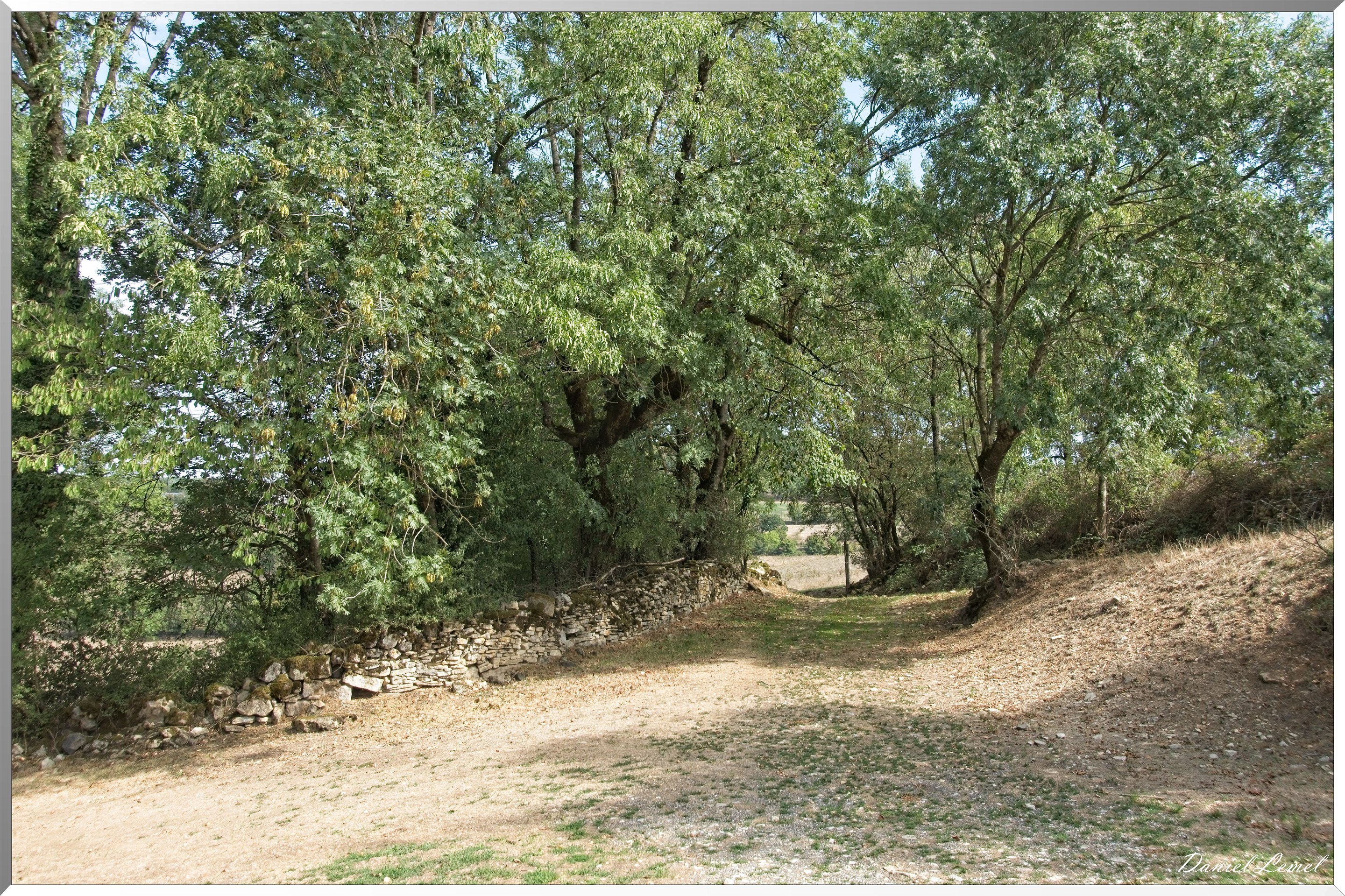 Cornuéjouls - Buzeins