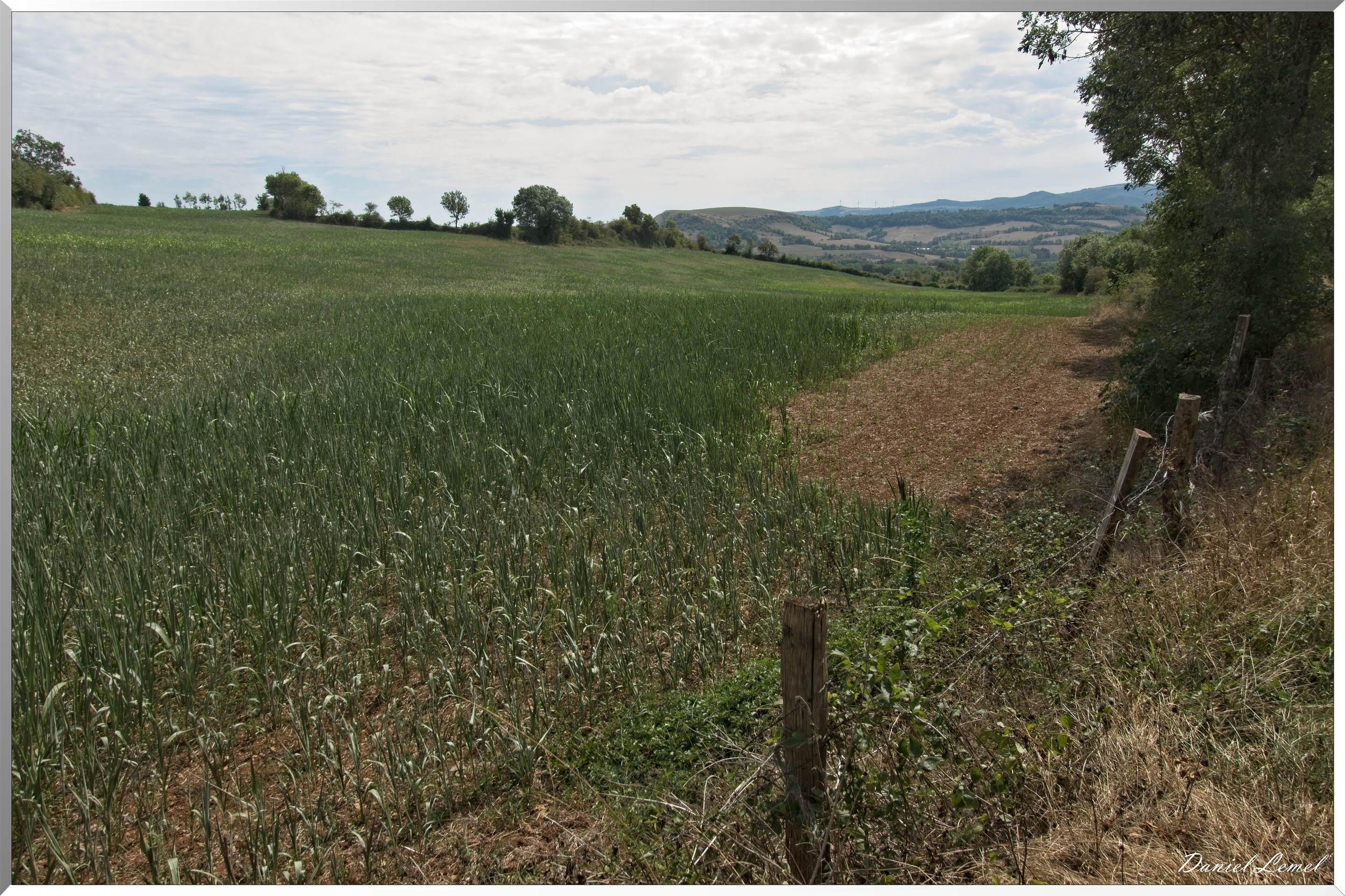 Cornuéjouls - Buzeins