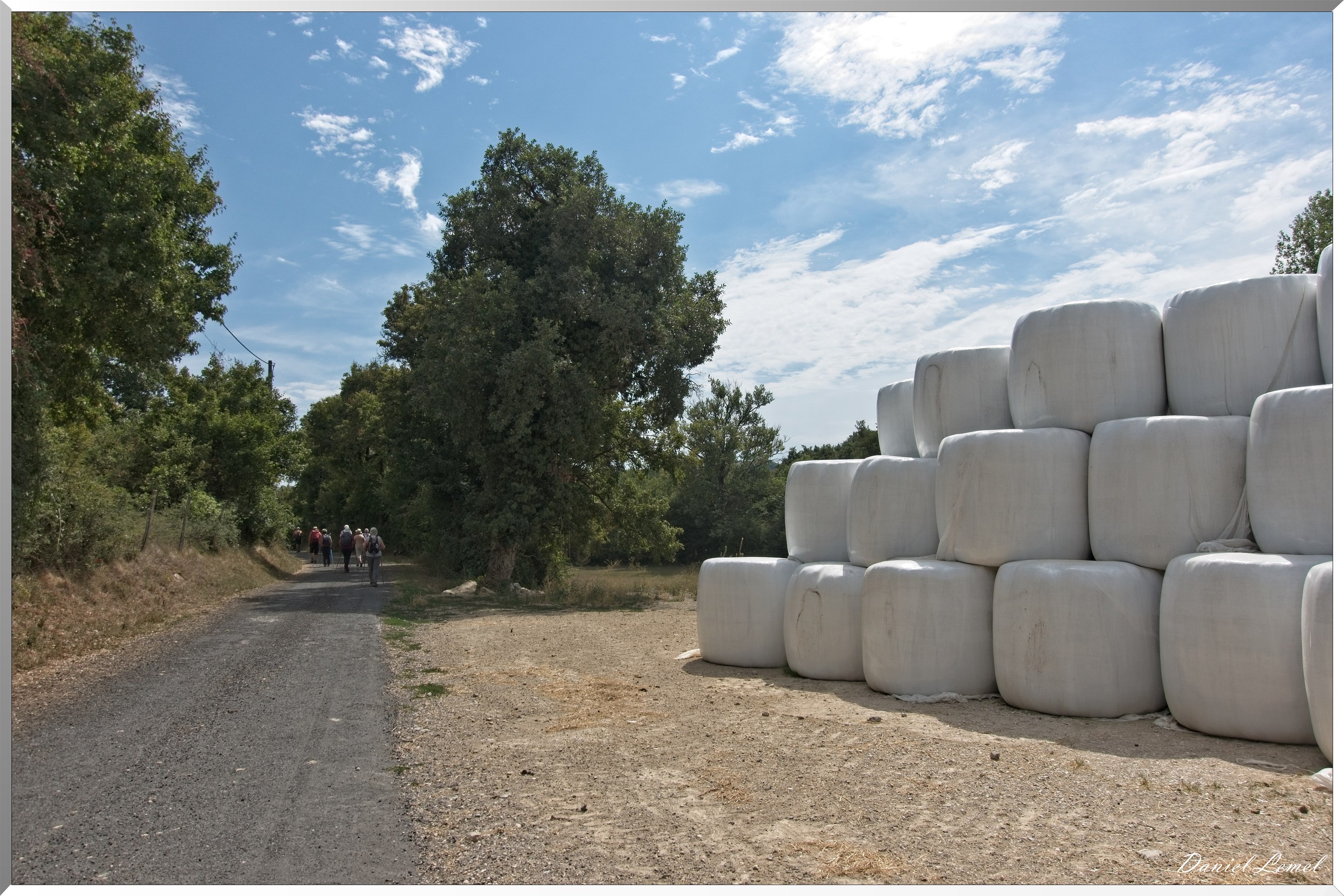 Cornuéjouls - Buzeins