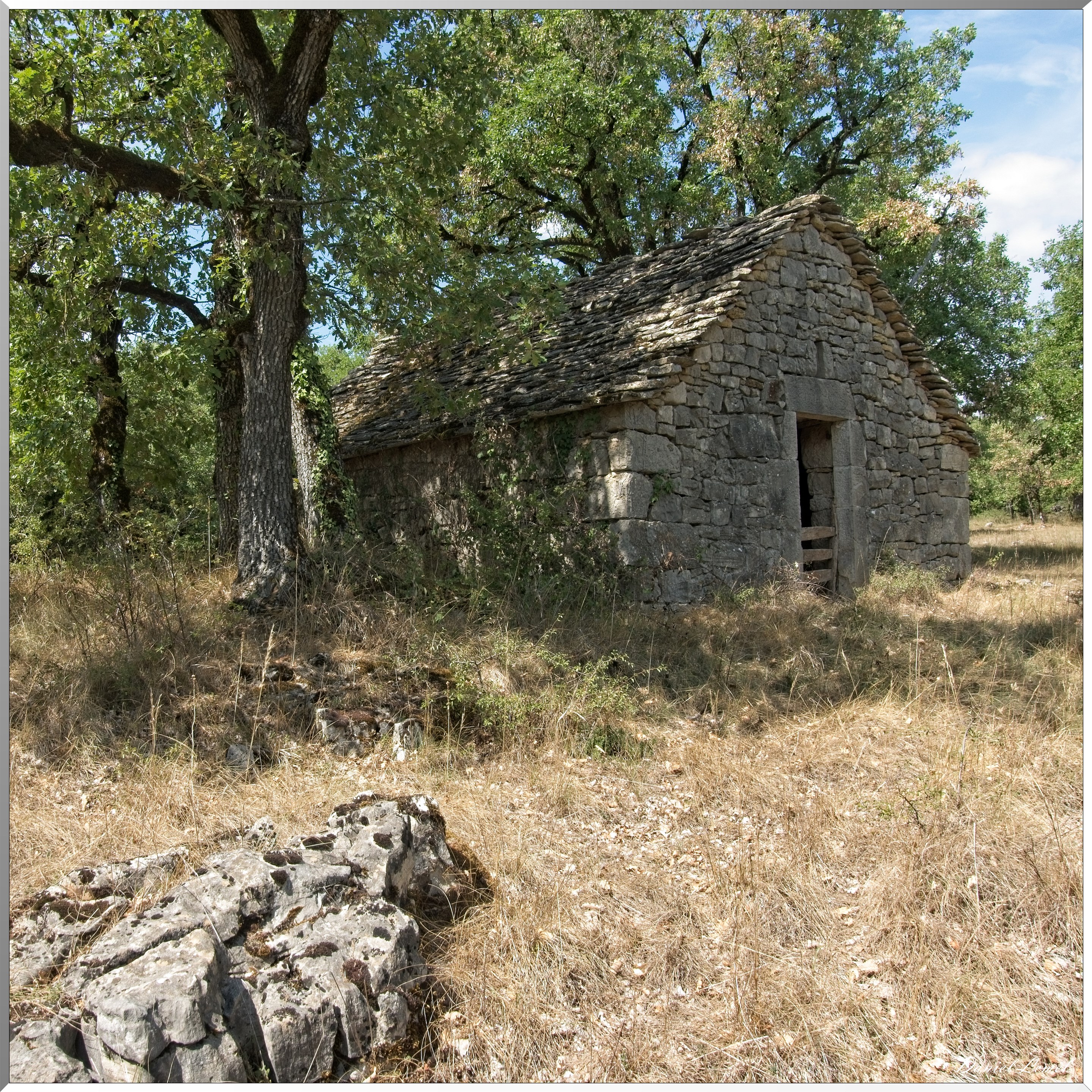Cornuéjouls - Buzeins