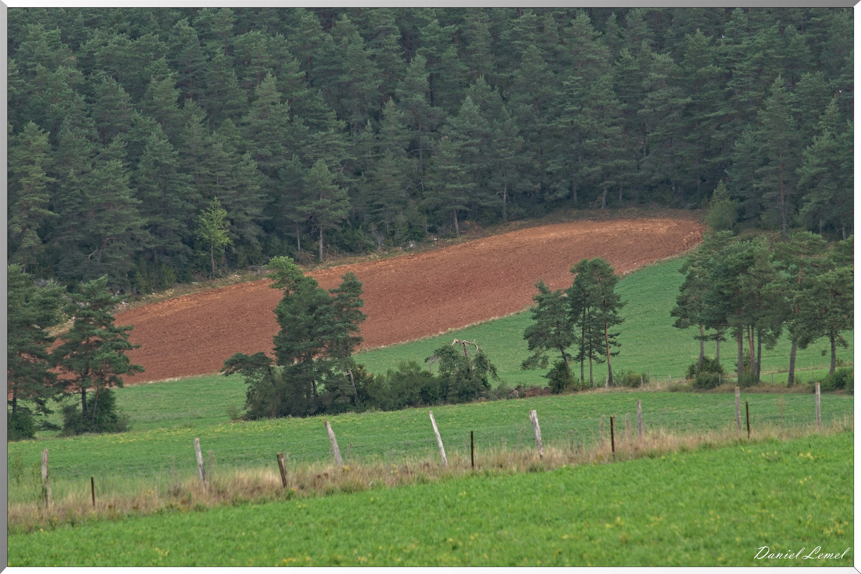 Le Gauzinès en Lozère