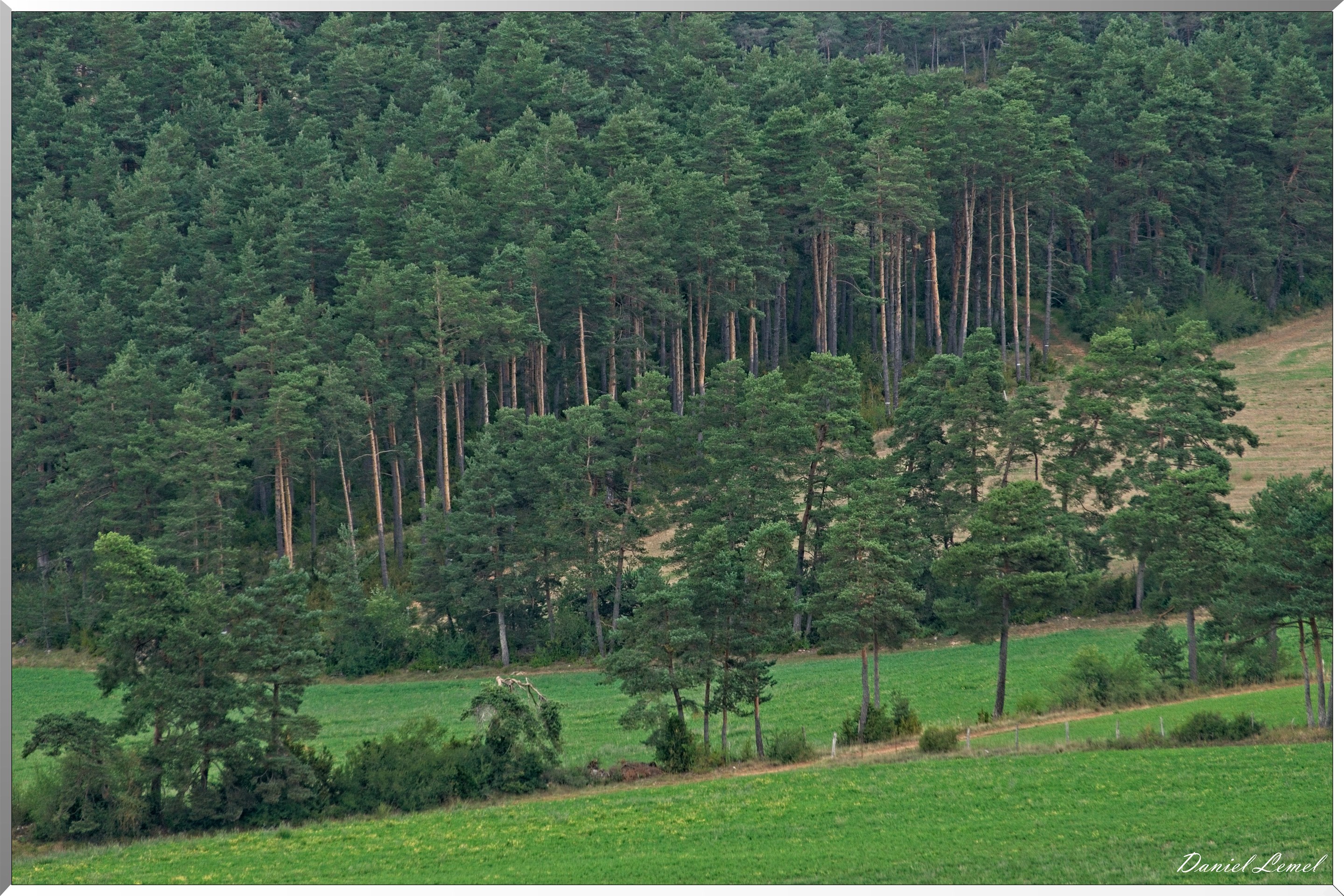 Le Gauzinès en Lozère