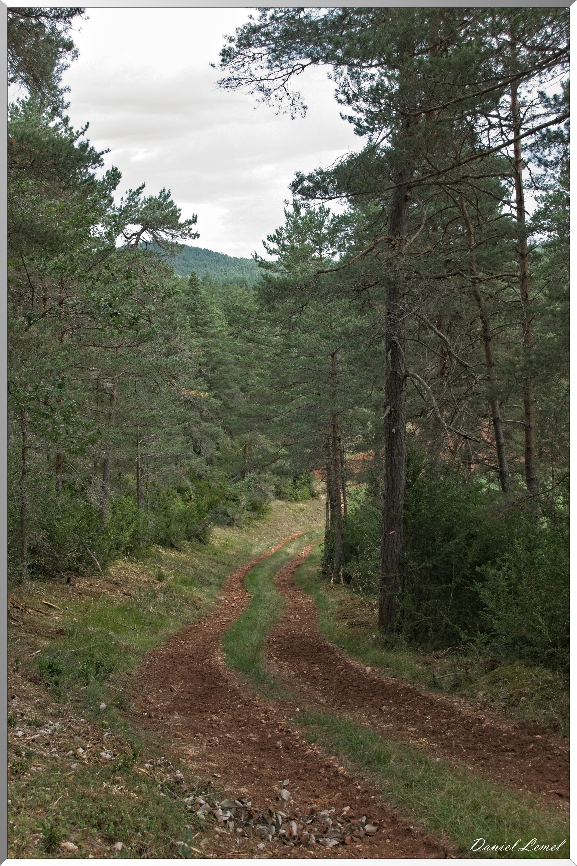 Le Gauzinès en Lozère