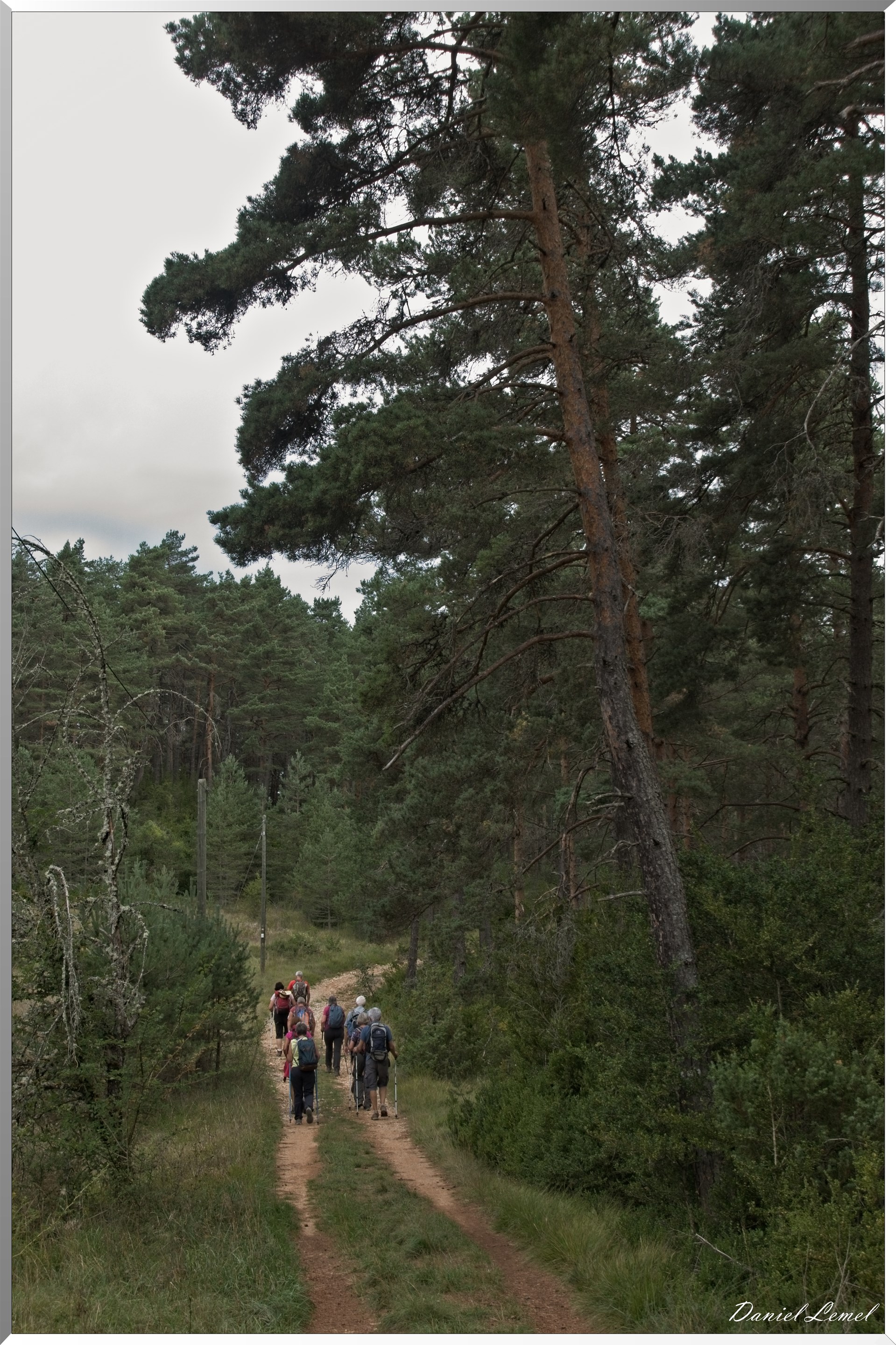 Le Gauzinès en Lozère