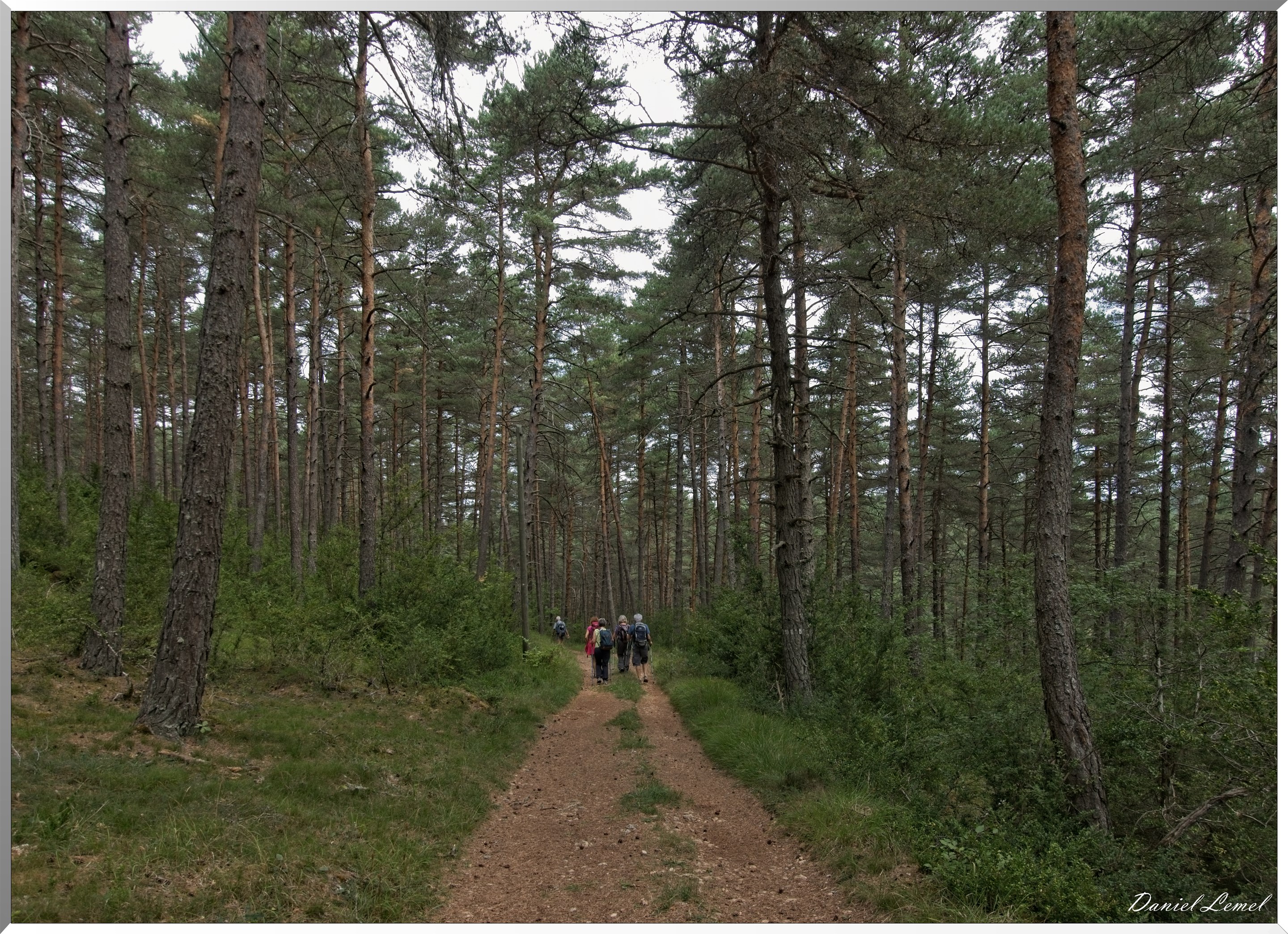 Le Gauzinès en Lozère