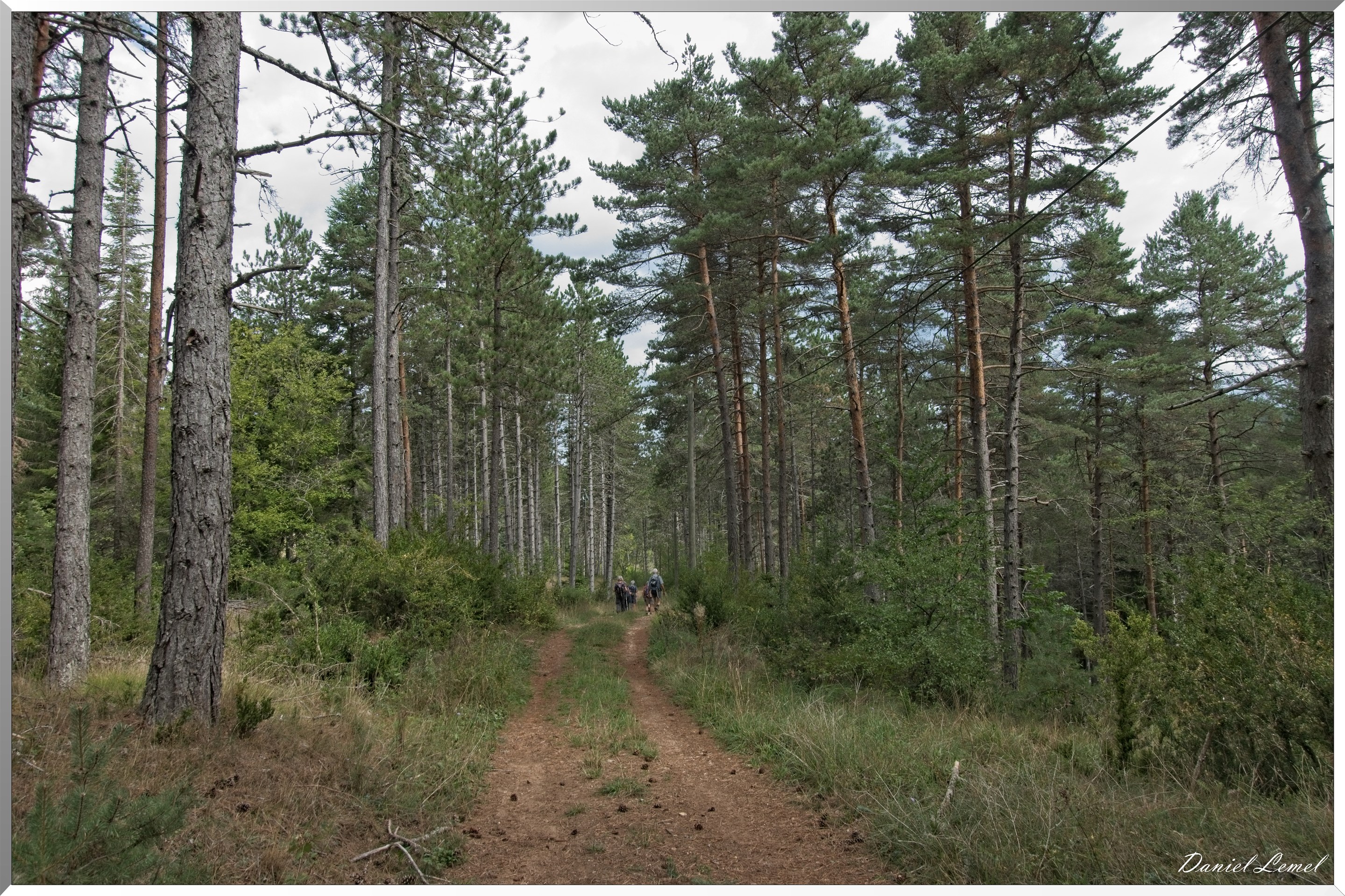 Le Gauzinès en Lozère