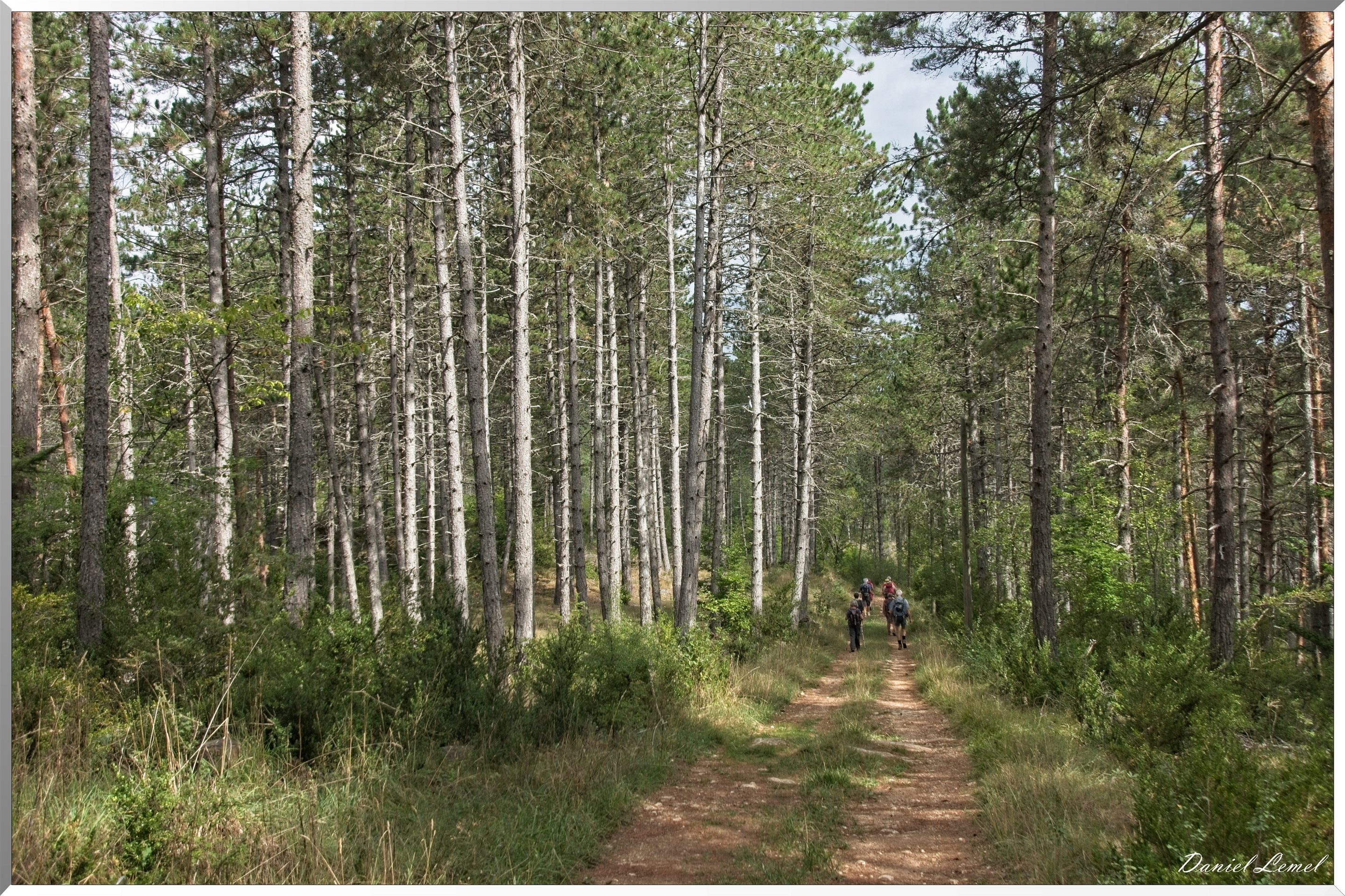 Le Gauzinès en Lozère