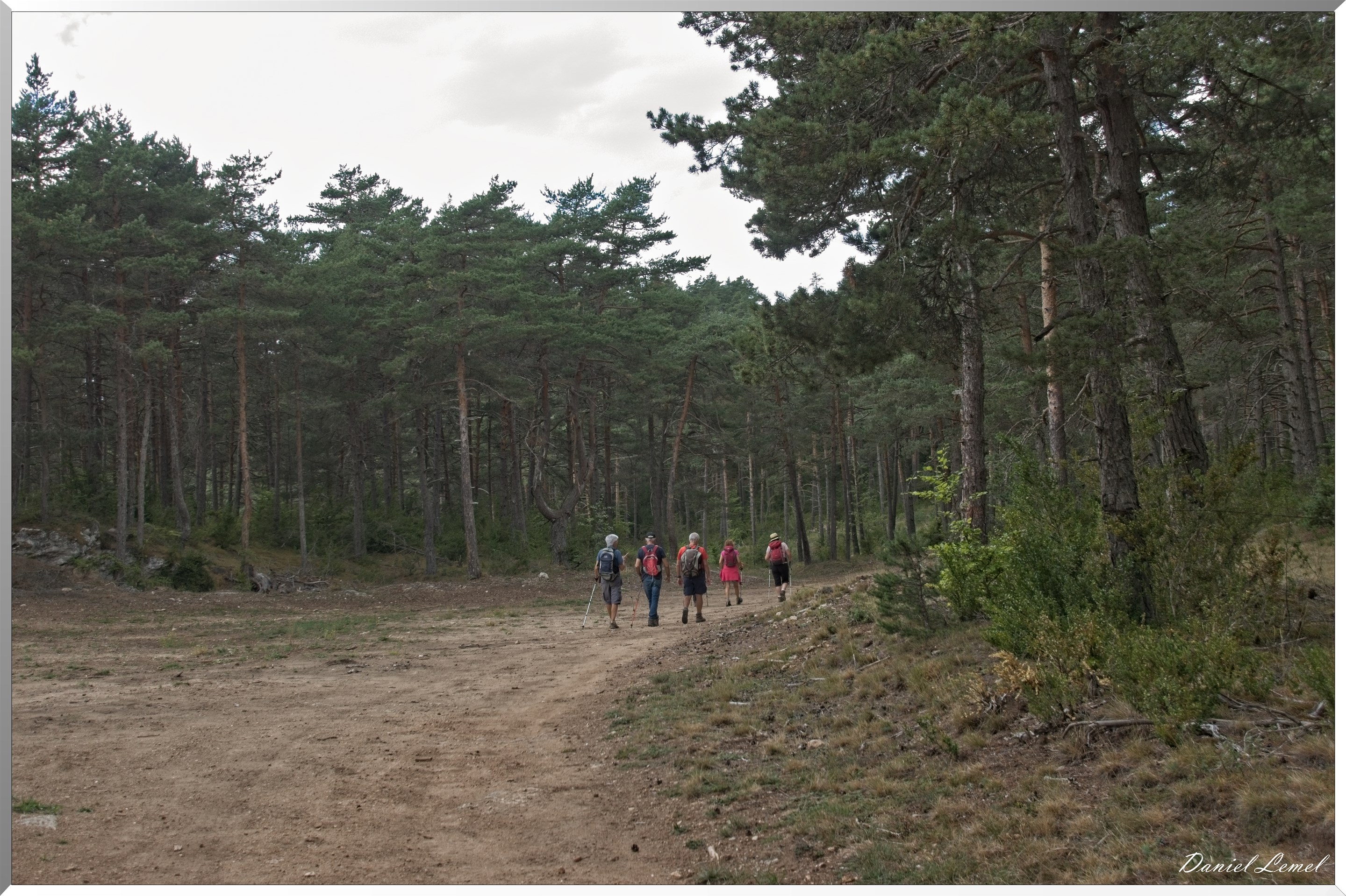 Le Gauzinès en Lozère