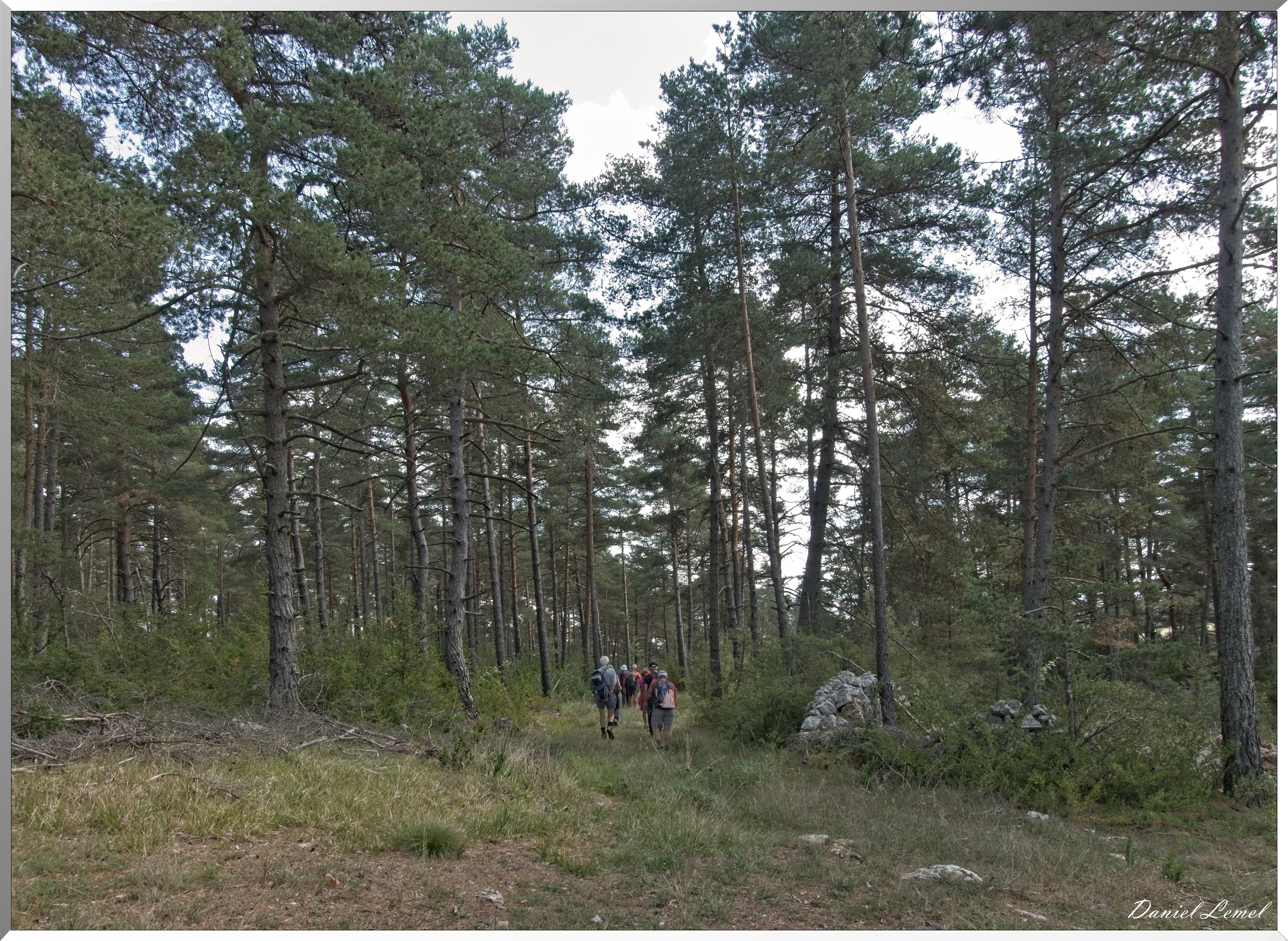 Le Gauzinès en Lozère