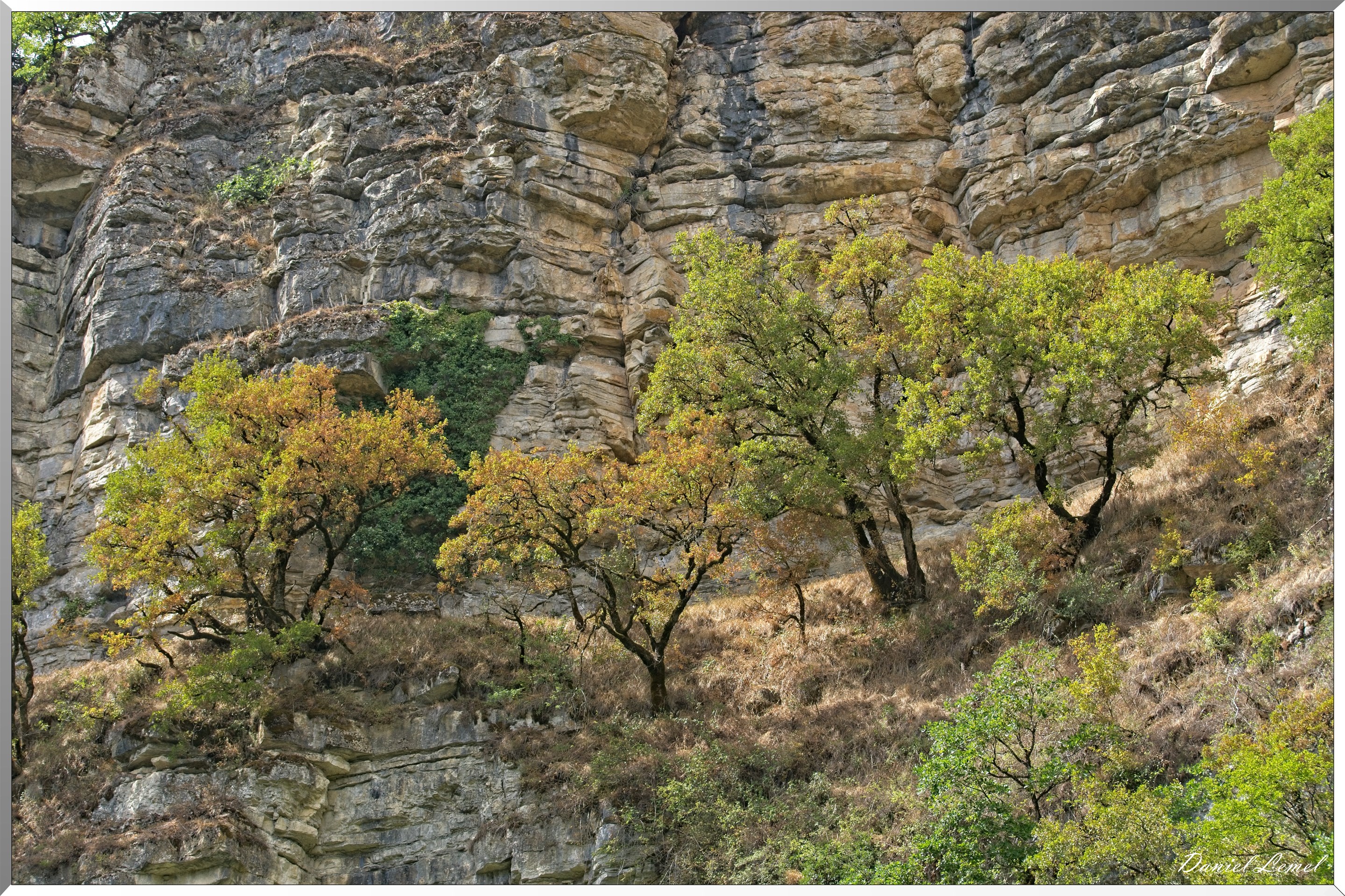Le Canyon de Bozouls