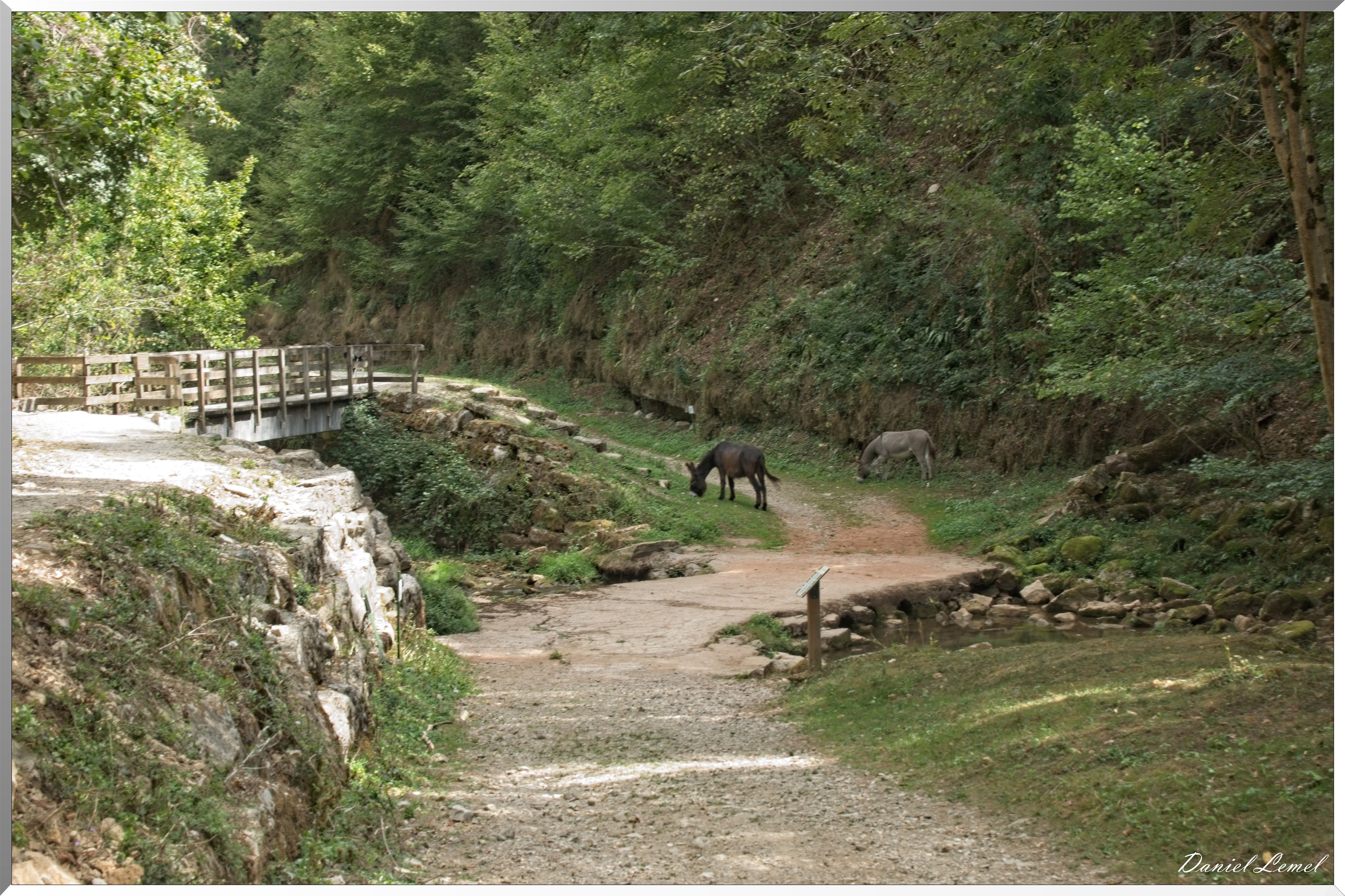 Le Canyon de Bozouls