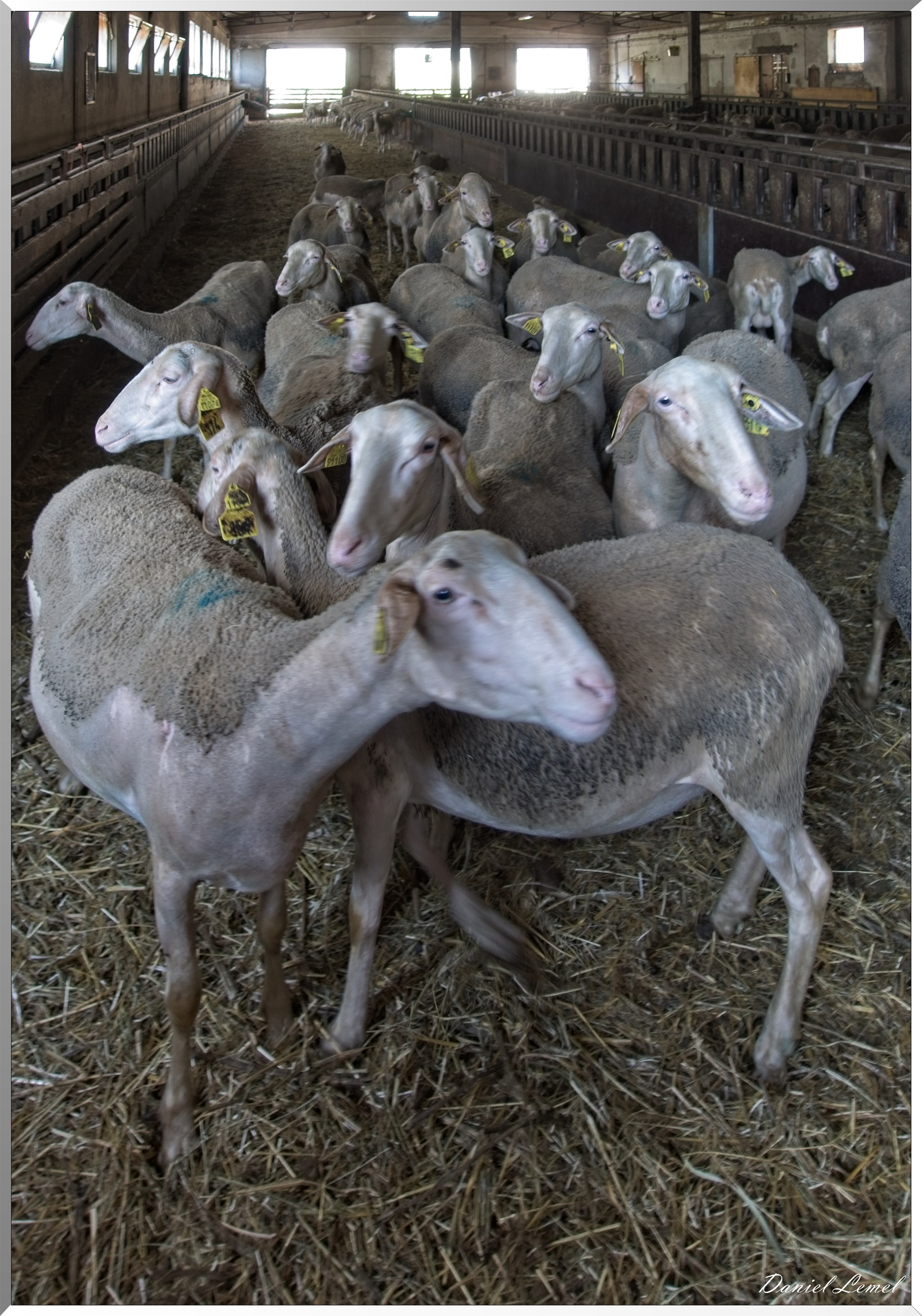 Cornuéjouls - Recoules-Prévinquieres