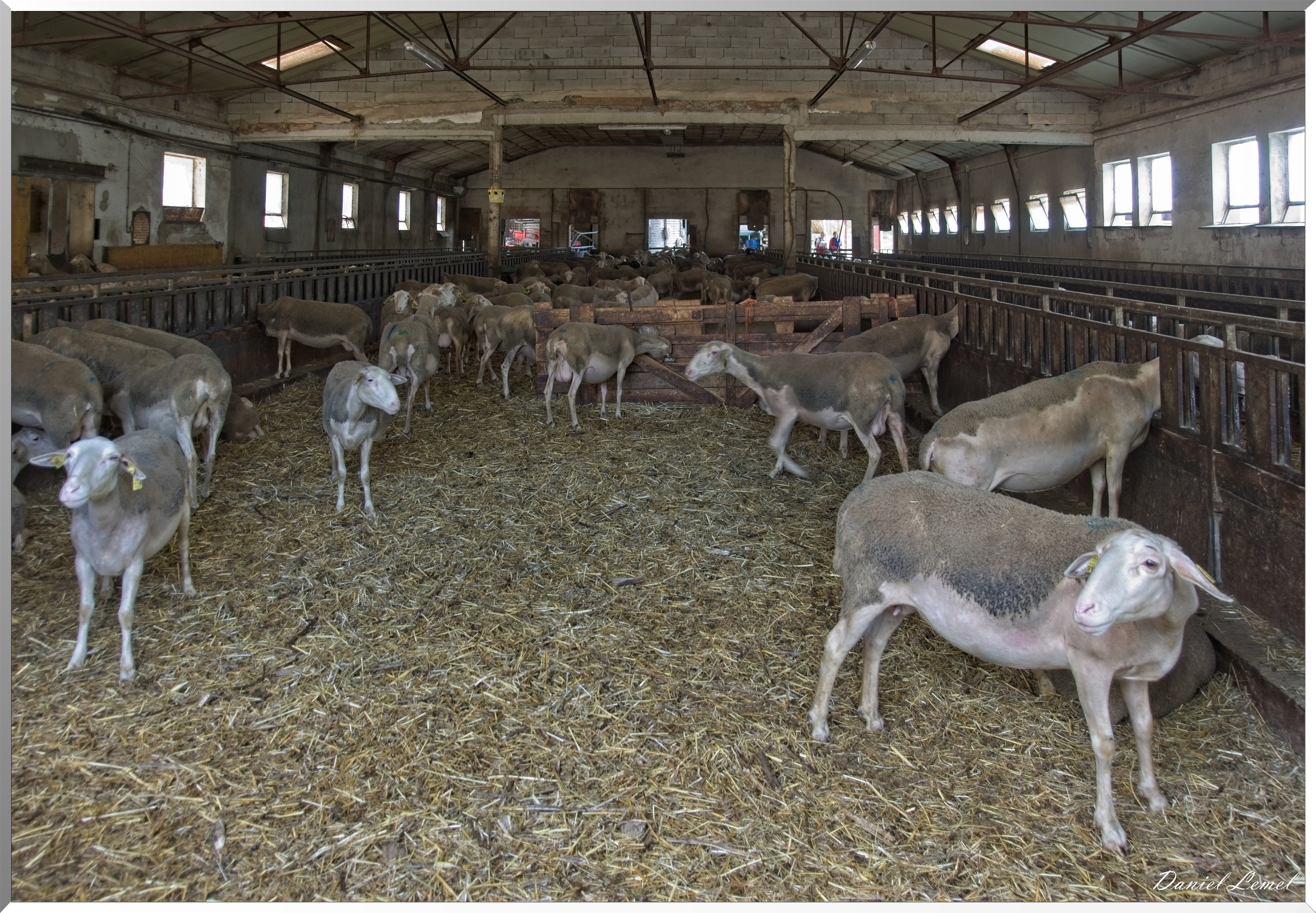 Cornuéjouls - Recoules-Prévinquieres