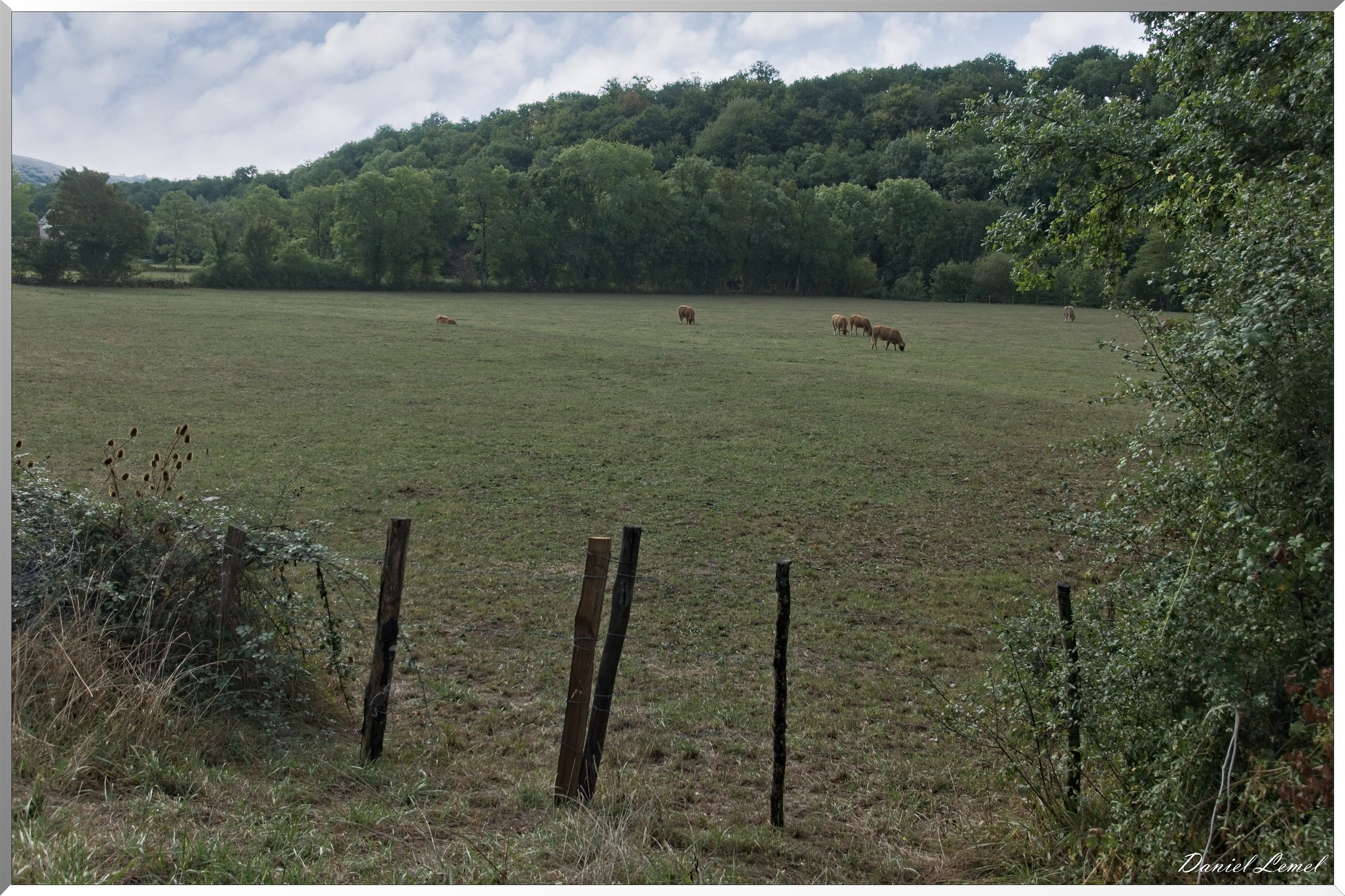 Cornuéjouls - Recoules-Prévinquieres