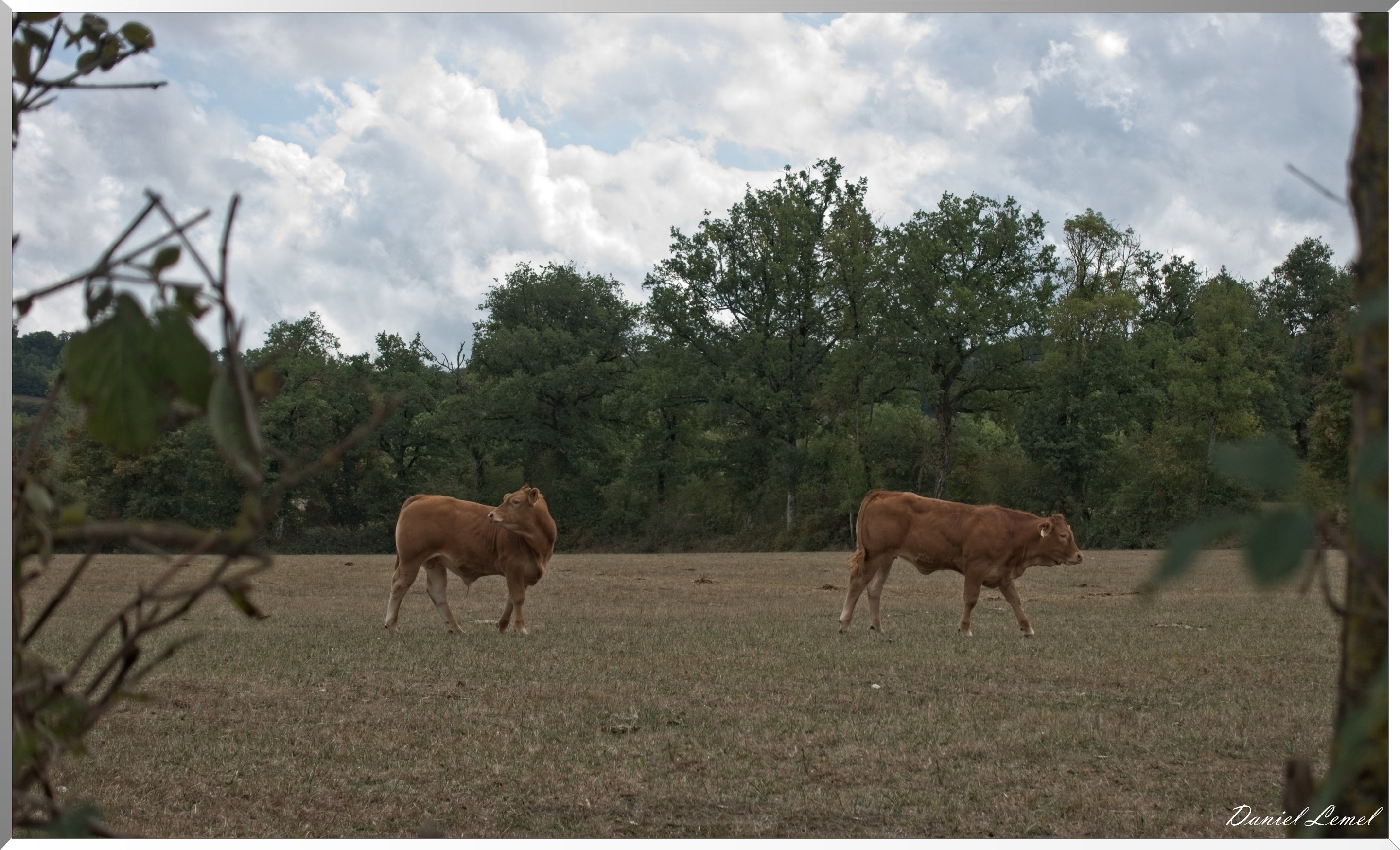 Cornuéjouls - Recoules-Prévinquieres