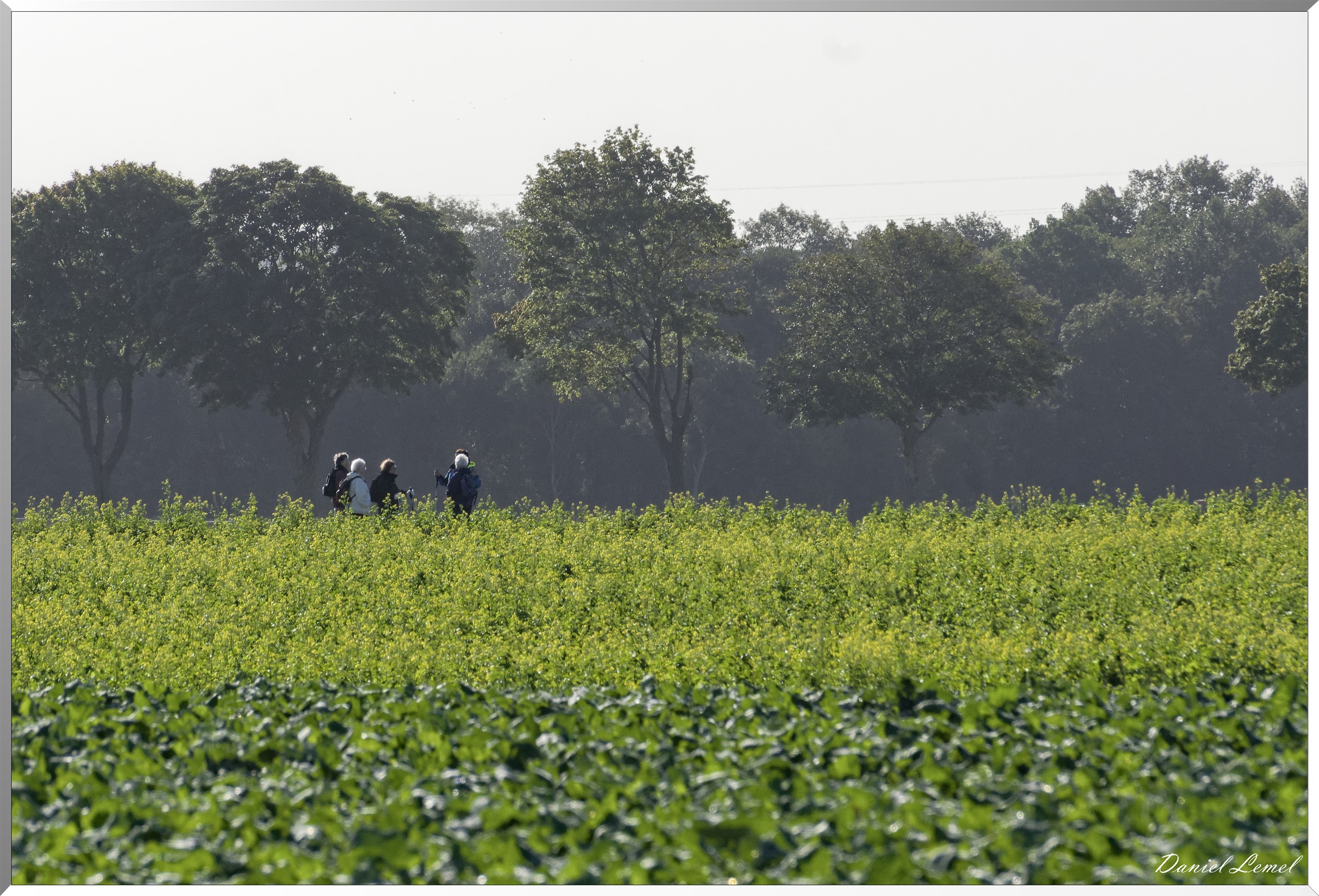 La Villeneuve-en-Chevrie
