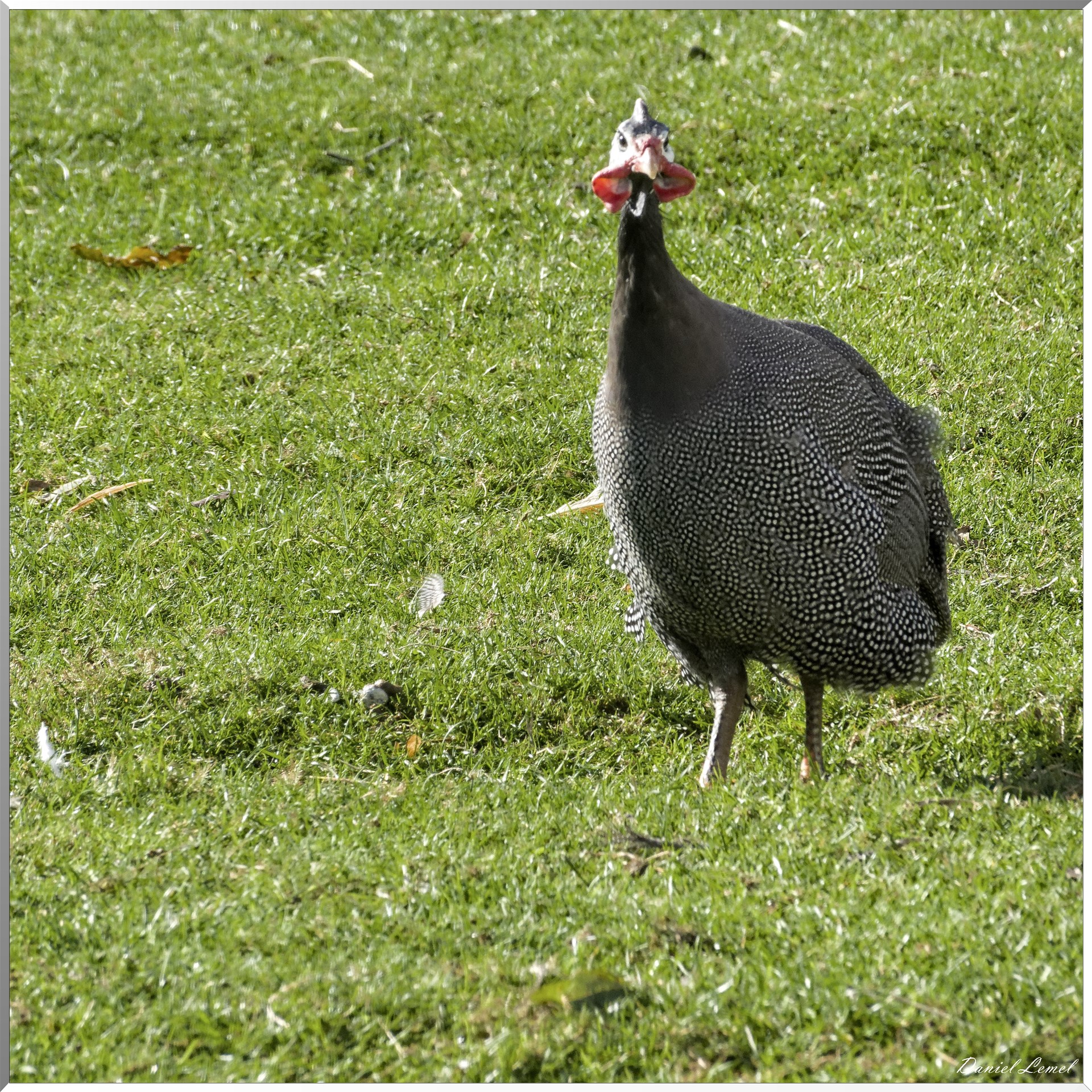 La Villeneuve-en-Chevrie