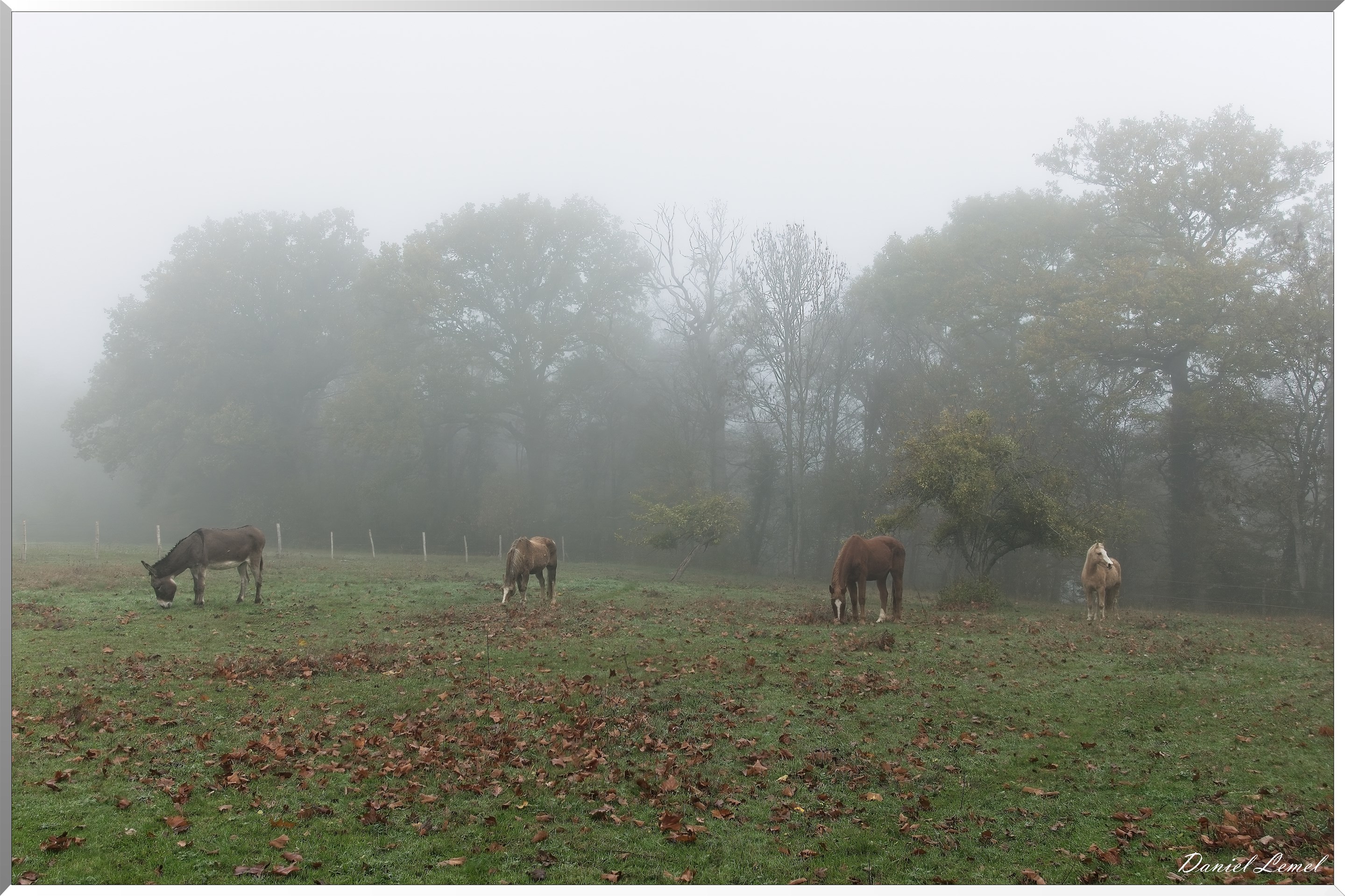 Notre-Dame-de-la-Mer