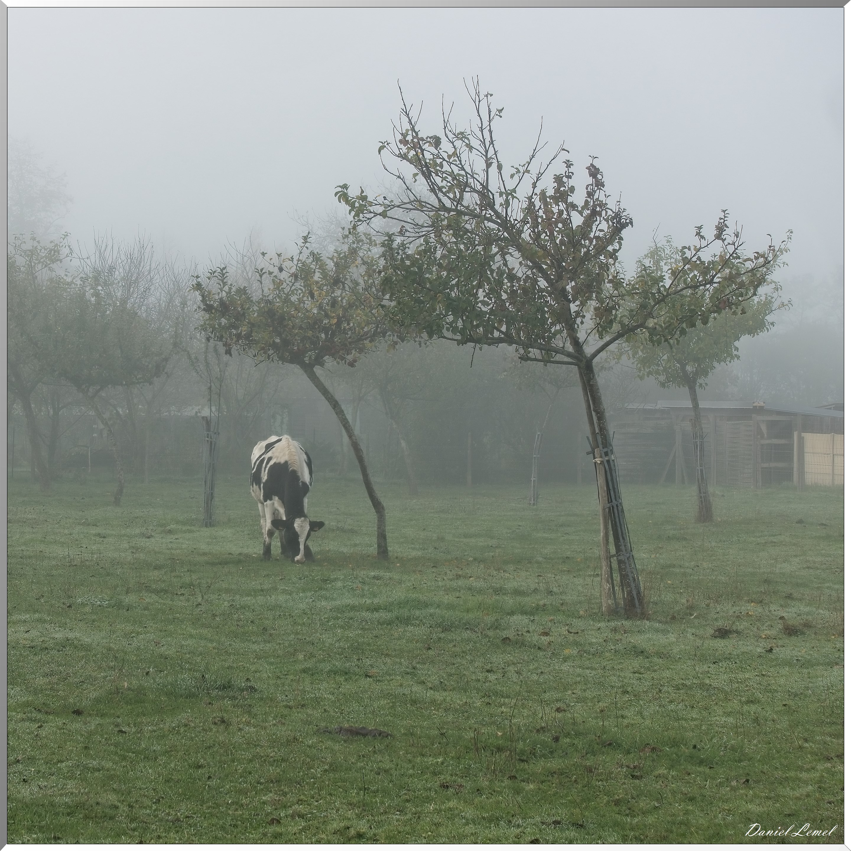 Notre-Dame-de-la-Mer