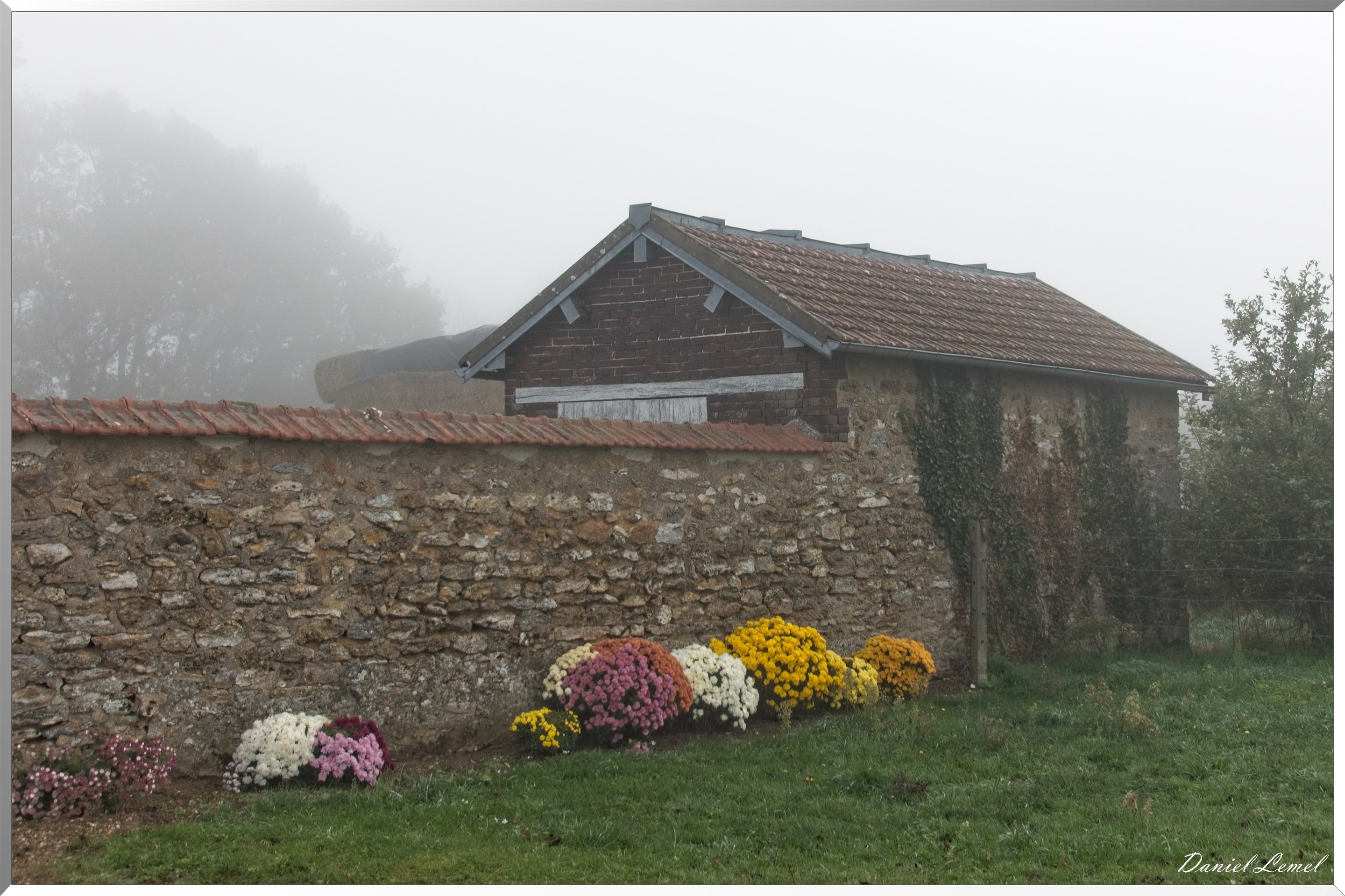 Notre-Dame-de-la-Mer