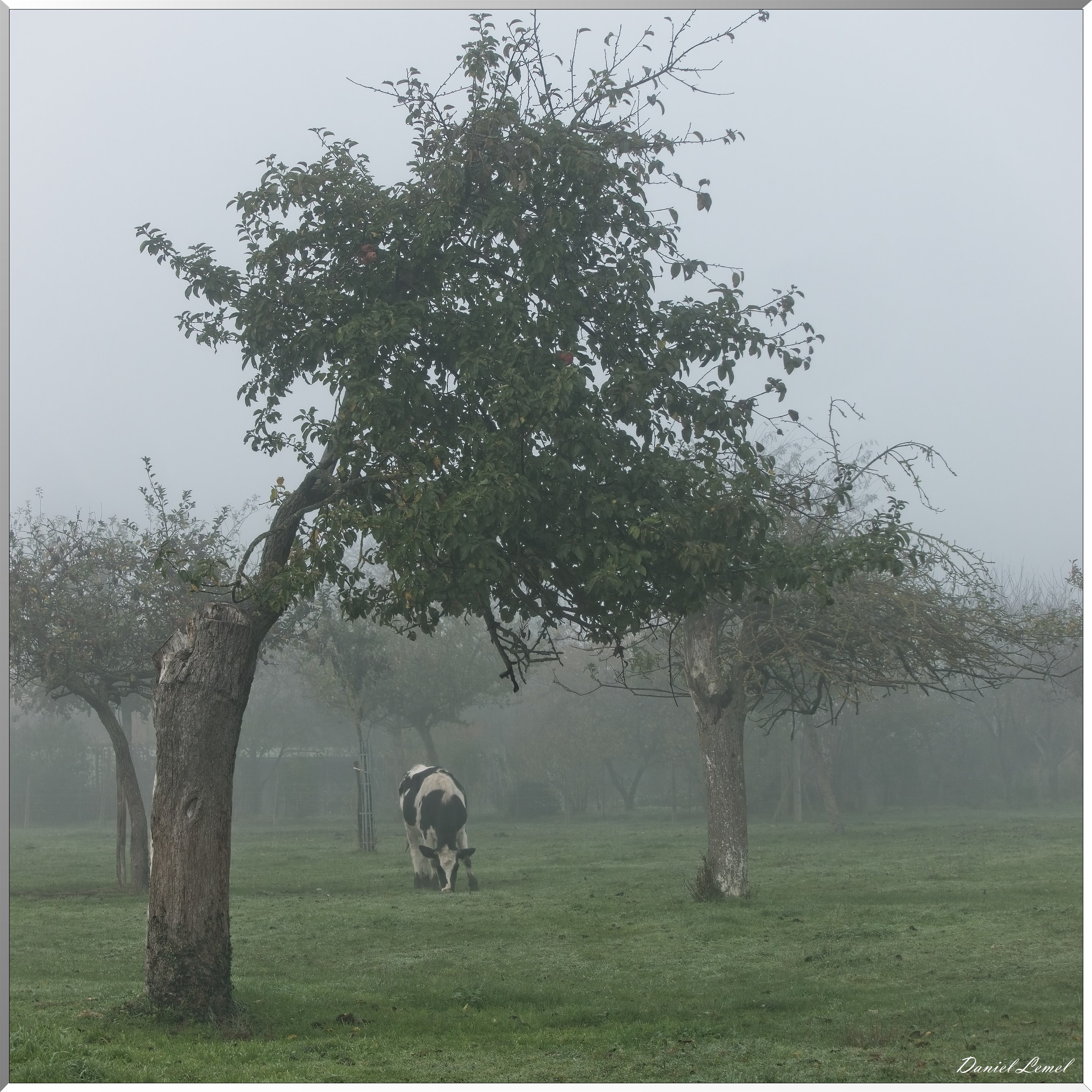 Notre-Dame-de-la-Mer