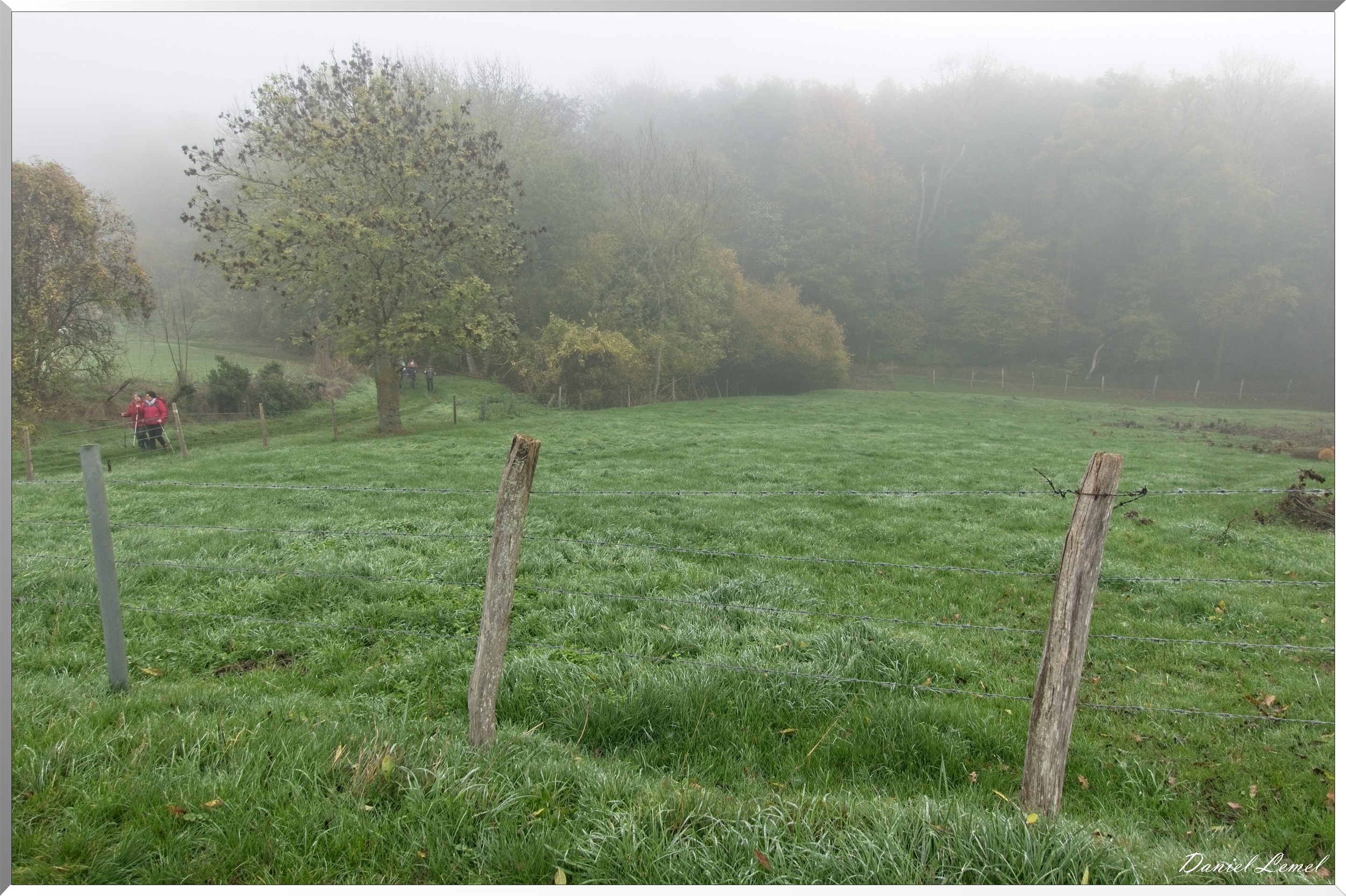 Notre-Dame-de-la-Mer