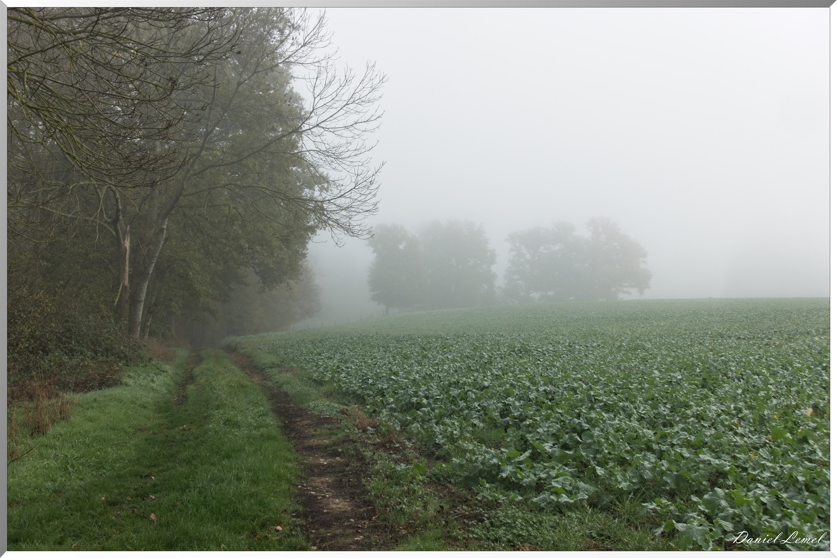 Notre-Dame-de-la-Mer