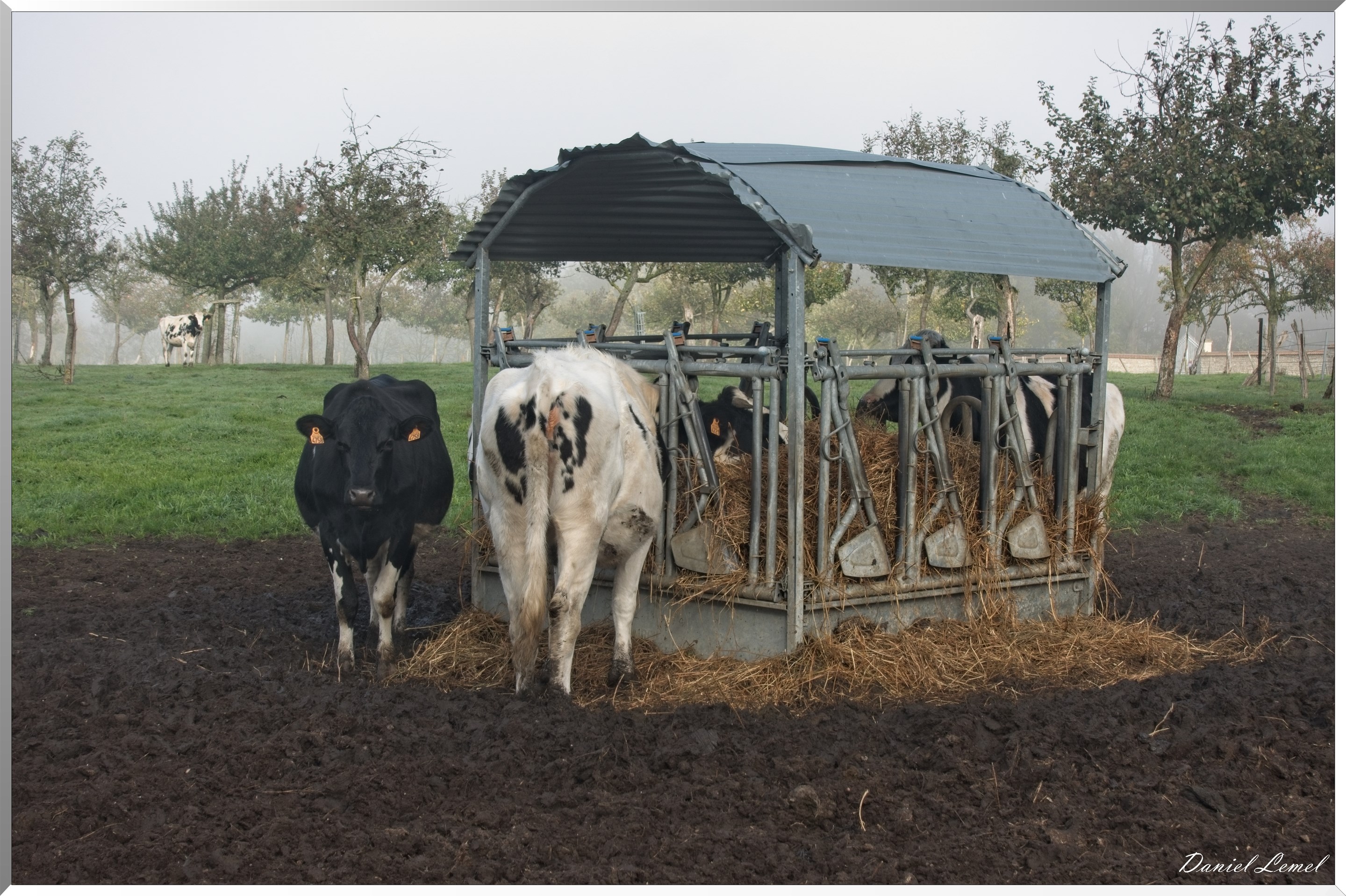 Notre-Dame-de-la-Mer